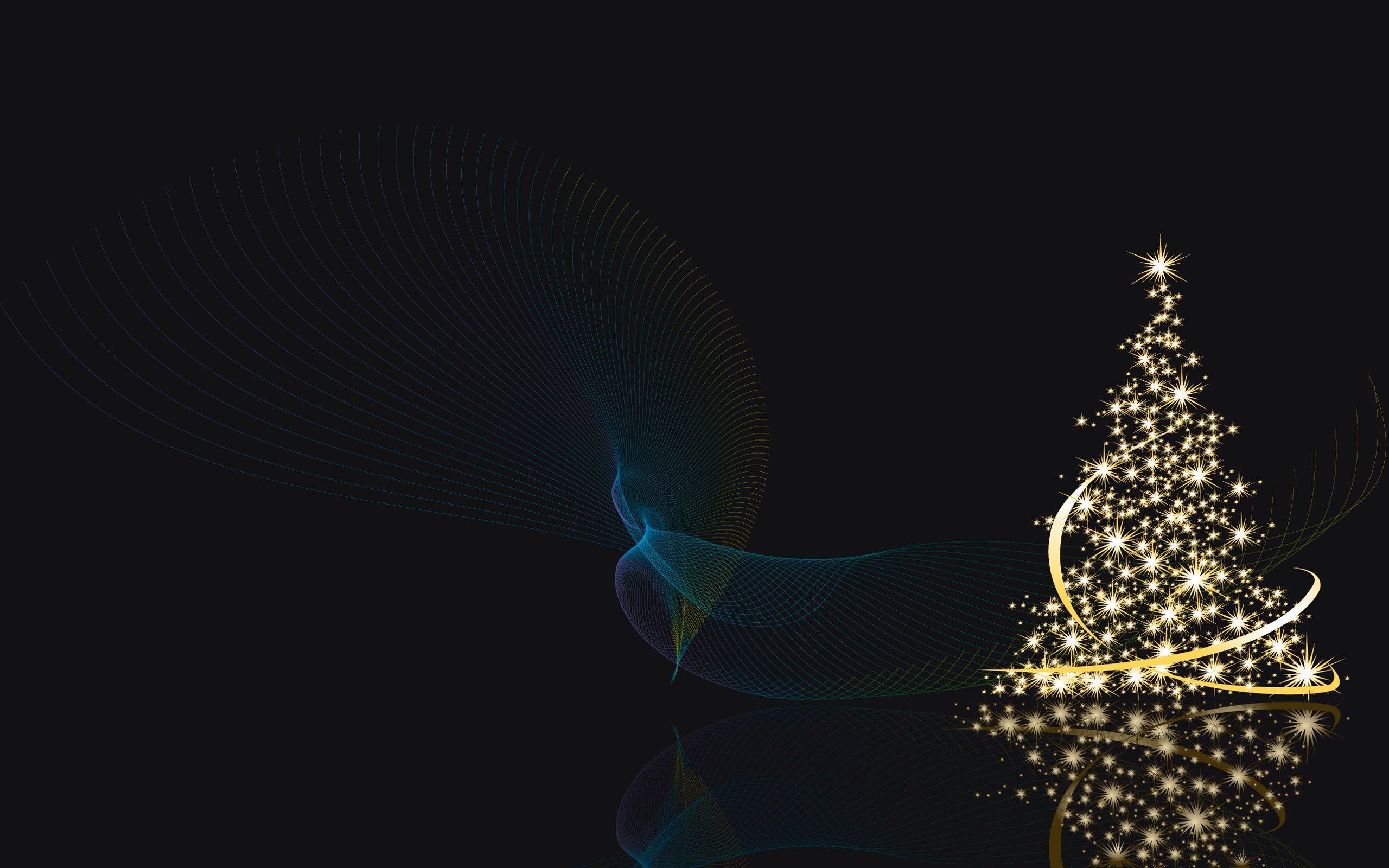 2560x1600 Christmas Trees Wallpaper Free