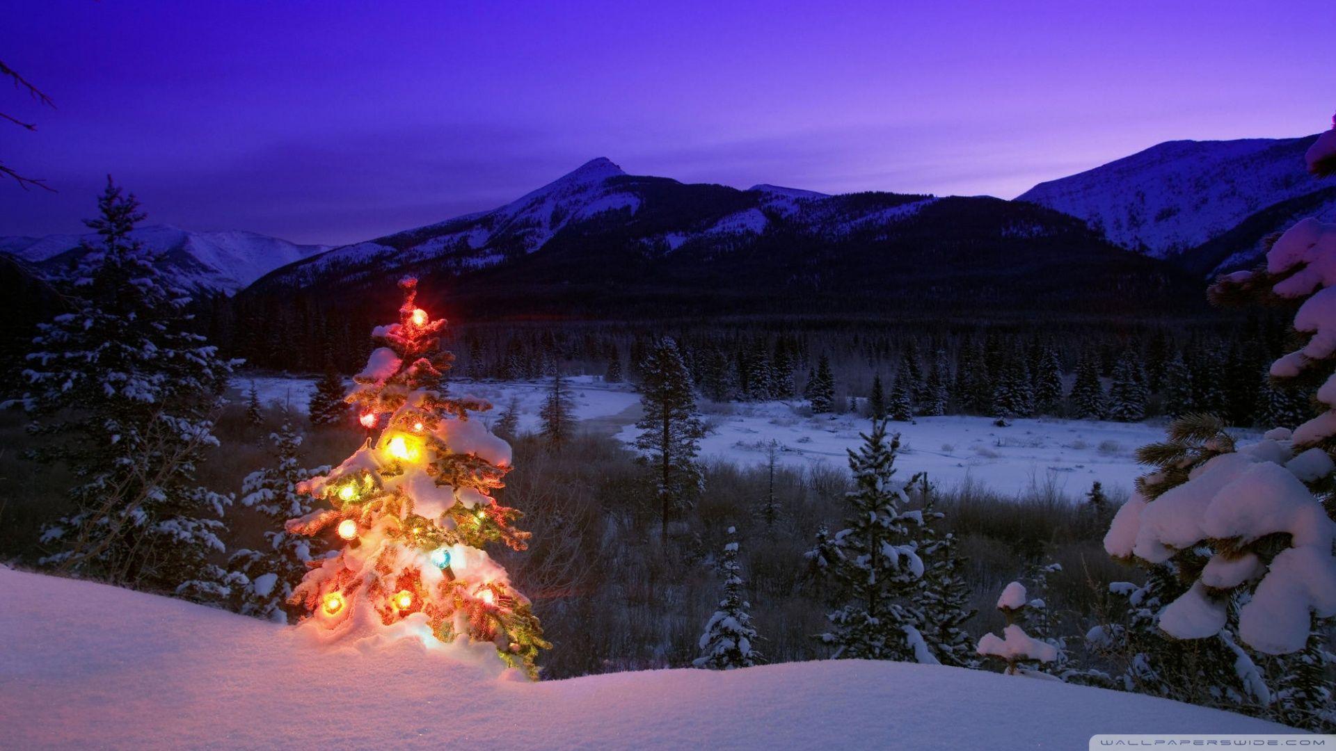 1920x1080 Download Christmas Tree With Lights Outdoors In The Mountains Wallpaper 1920x1080