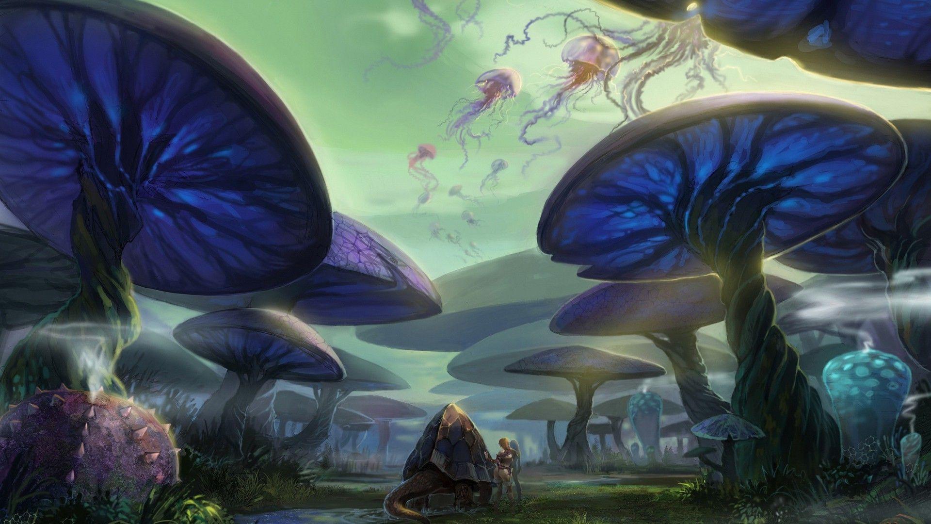 Fantasy Mushroom Wallpapers Top Free Fantasy Mushroom Backgrounds