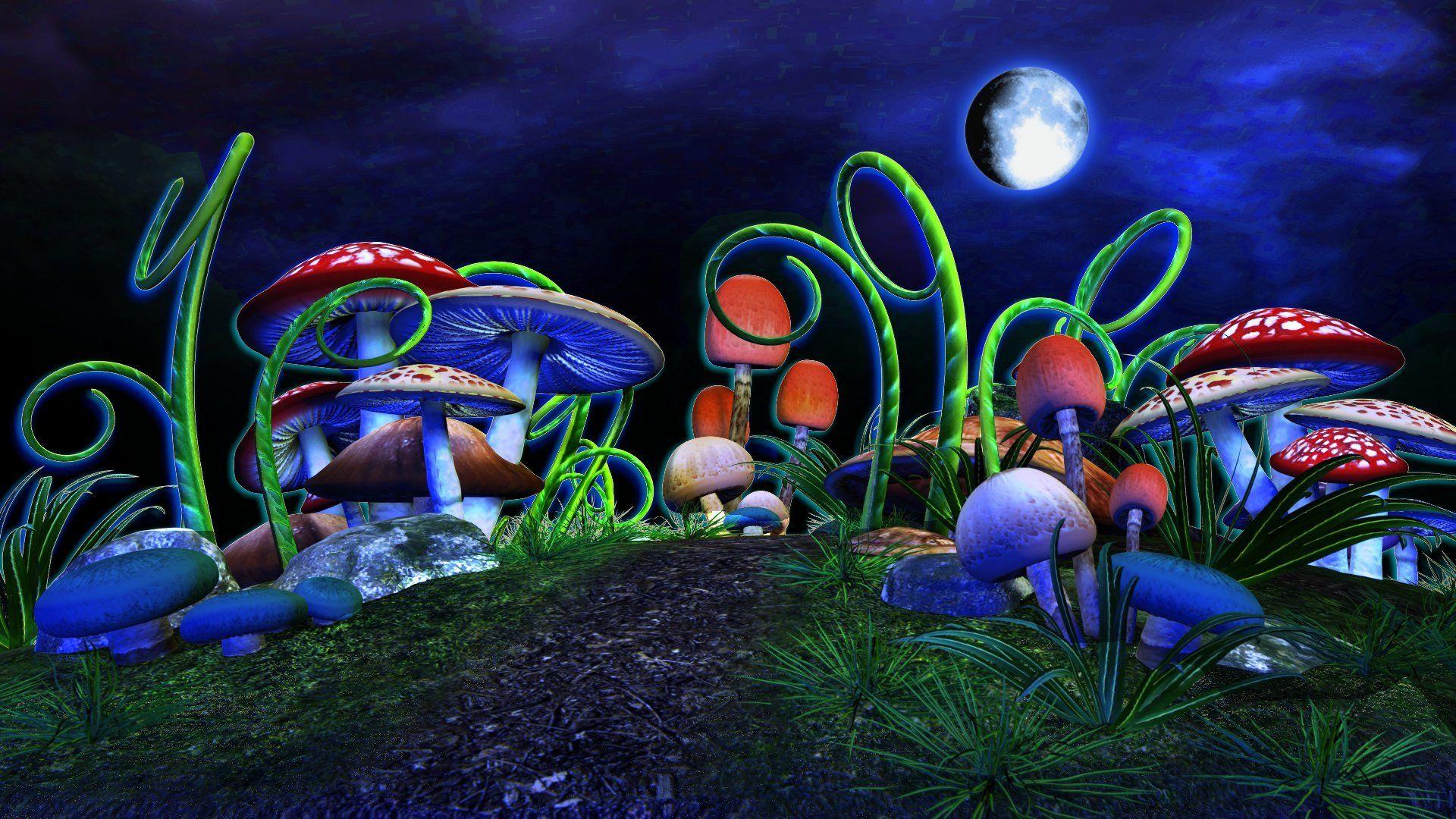 1920x1080 Mushrooms 4K wallpaper for your desktop or mobile screen free and easy to download