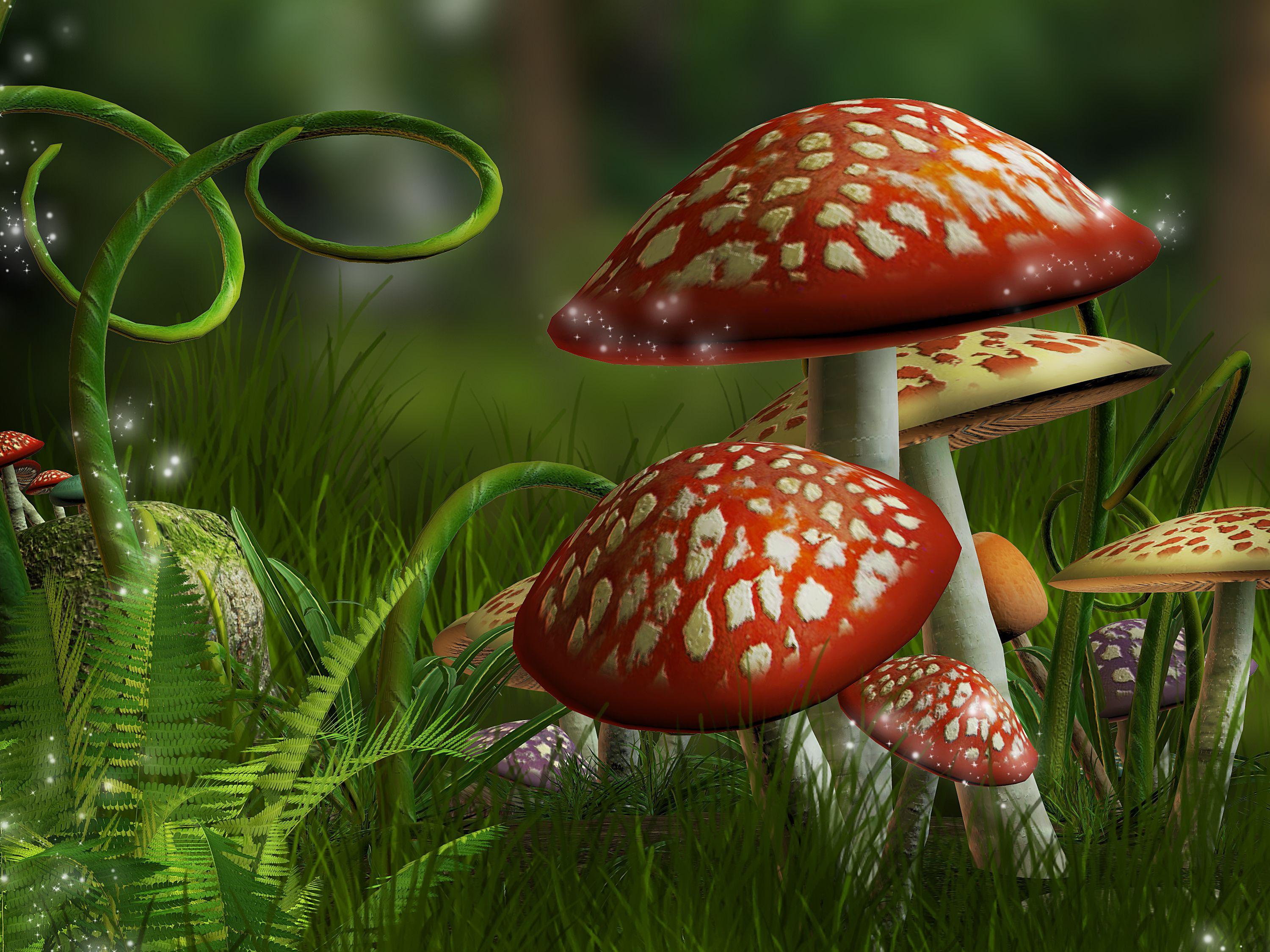 3000x2250 Drawn fantastic mushrooms of amanita wallpaper and image, picture, photo