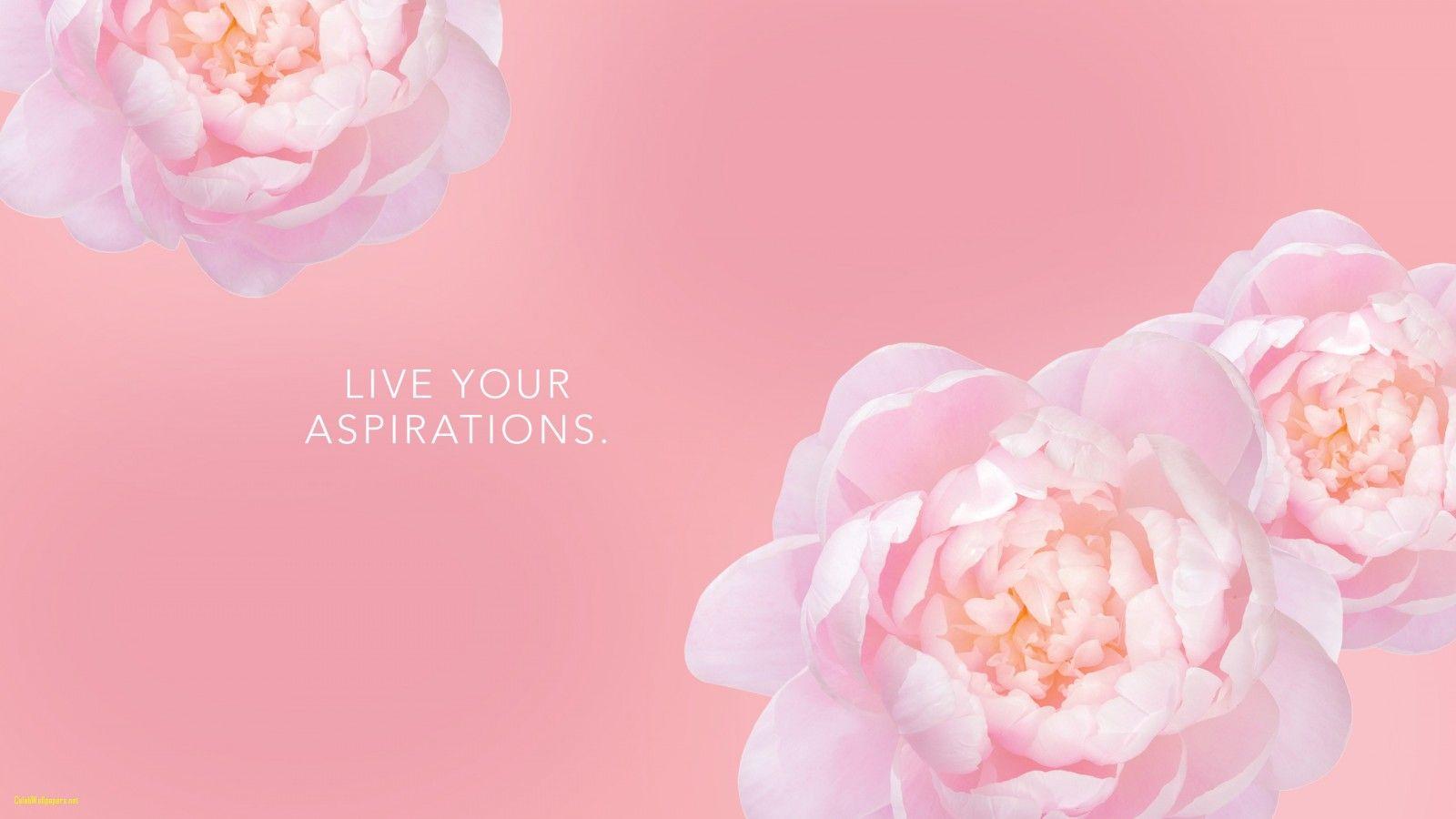 1600x900 Peony Wallpaper Best Of