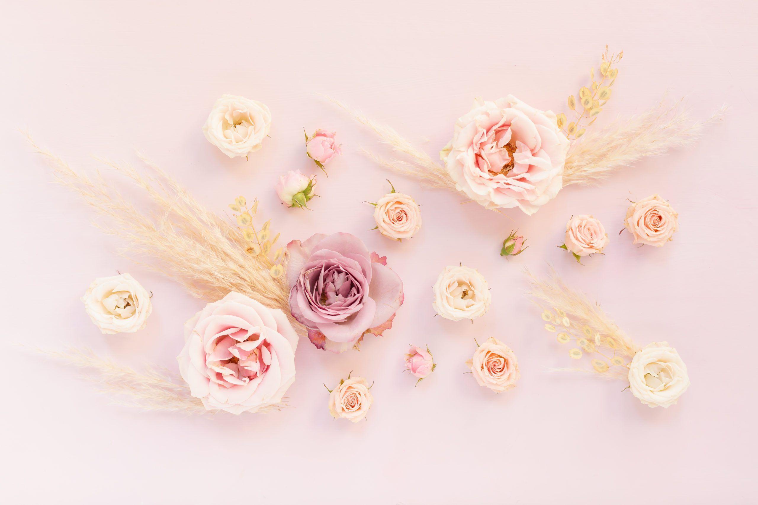 2560x1707 DIGITAL BLOOMS APRIL 2020. FREE DESKTOP WALLPAPER + DIGITAL BLOOMS TURNS 4!
