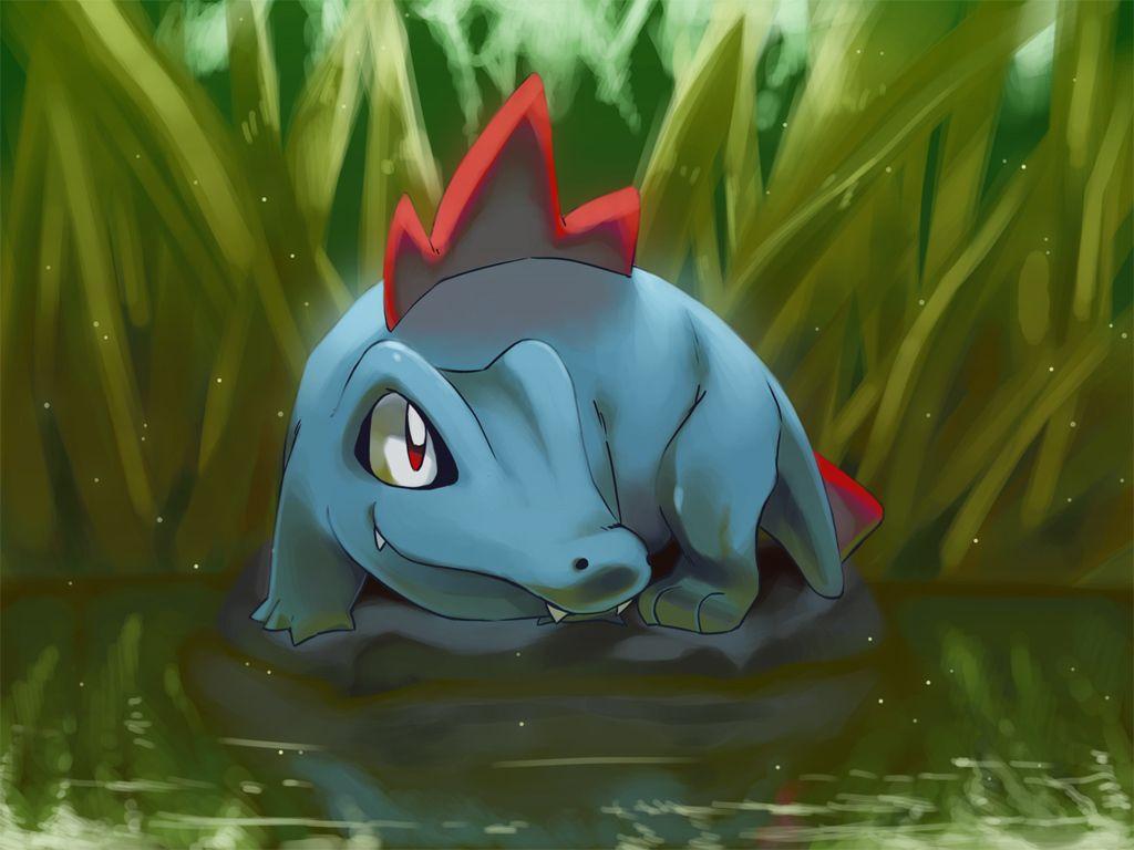 1024x768 Totodile. Via Tumblr Uploaded By Eevee Chan