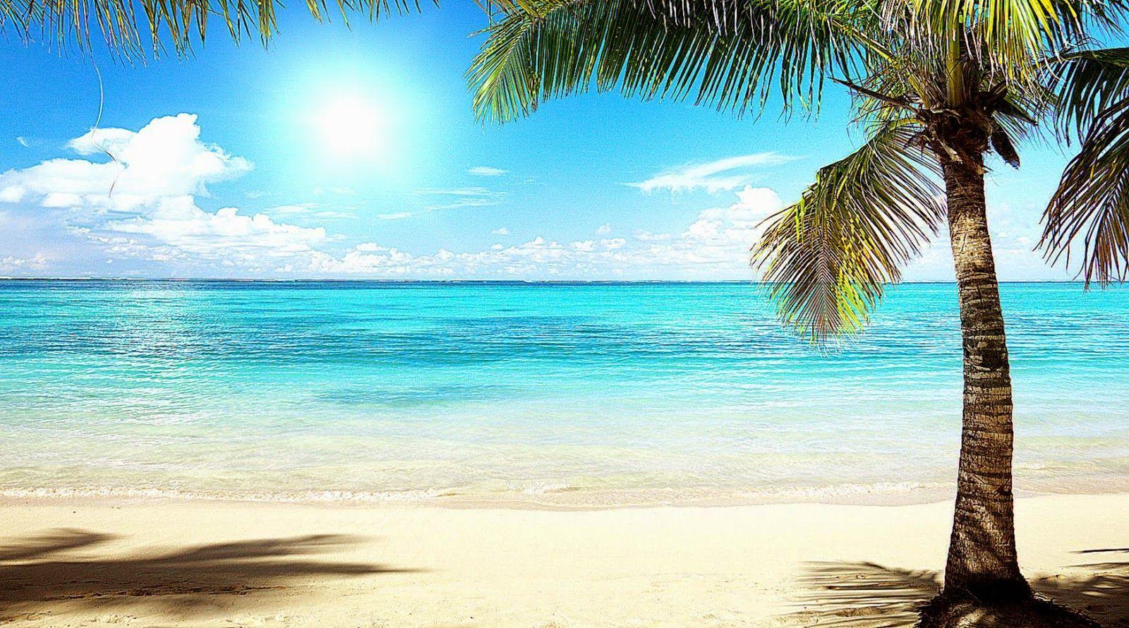 Florida Beach Wallpapers - Top Free Florida Beach Backgrounds ...