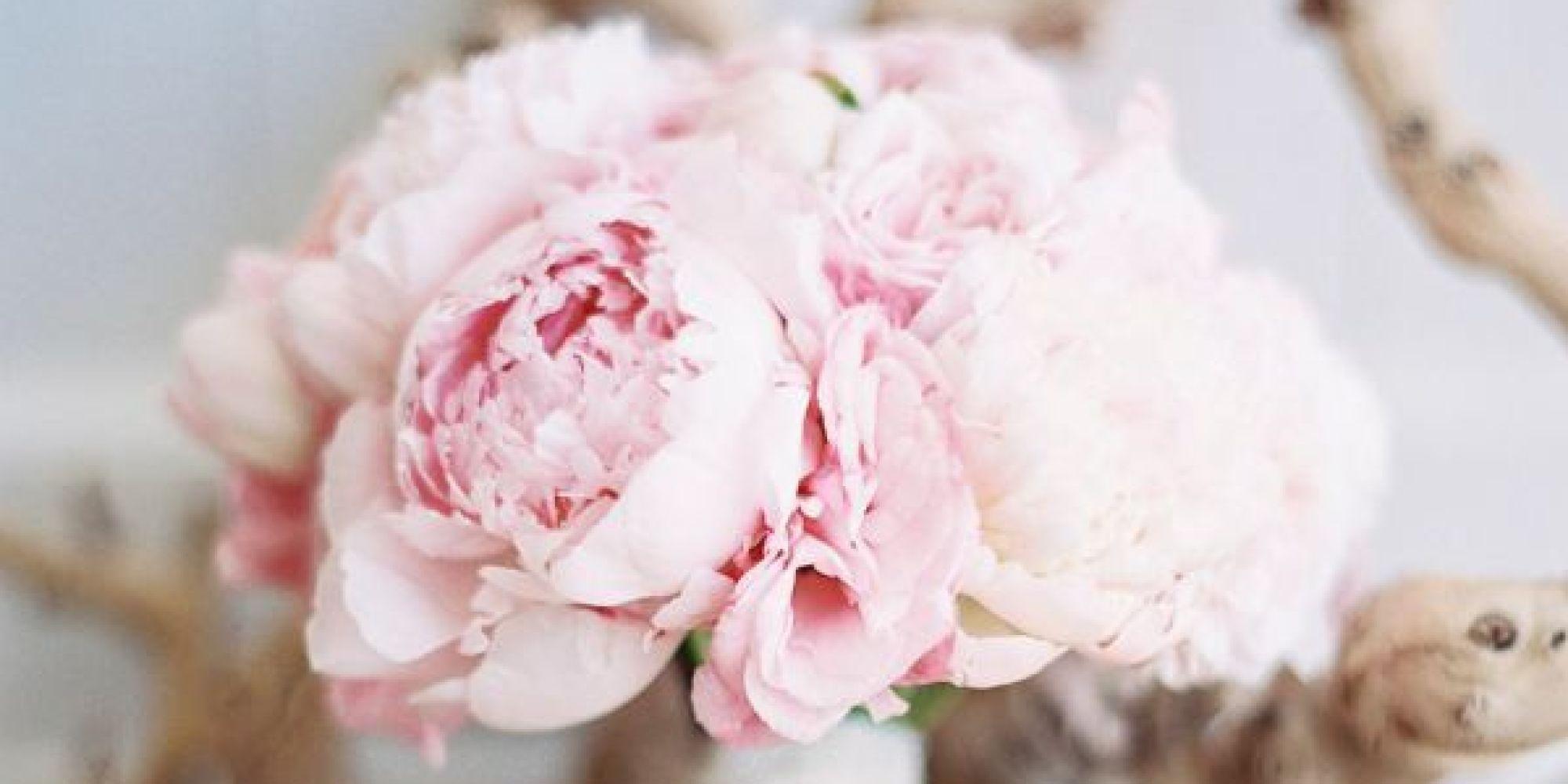 2000x1000 White Peonies Desktop Wallpaper