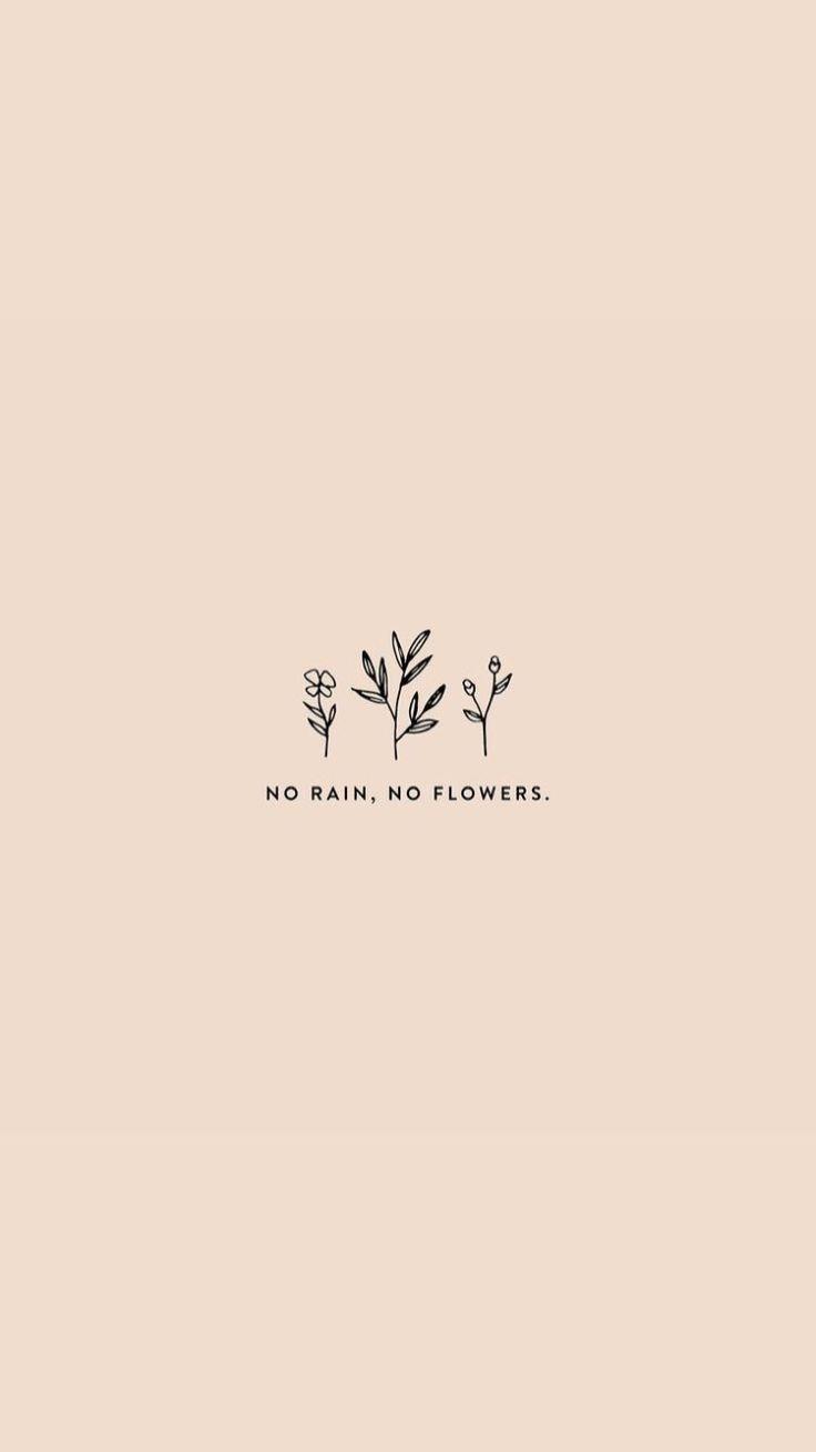 736x1309 no rain no flowers minimalistic wallpaper