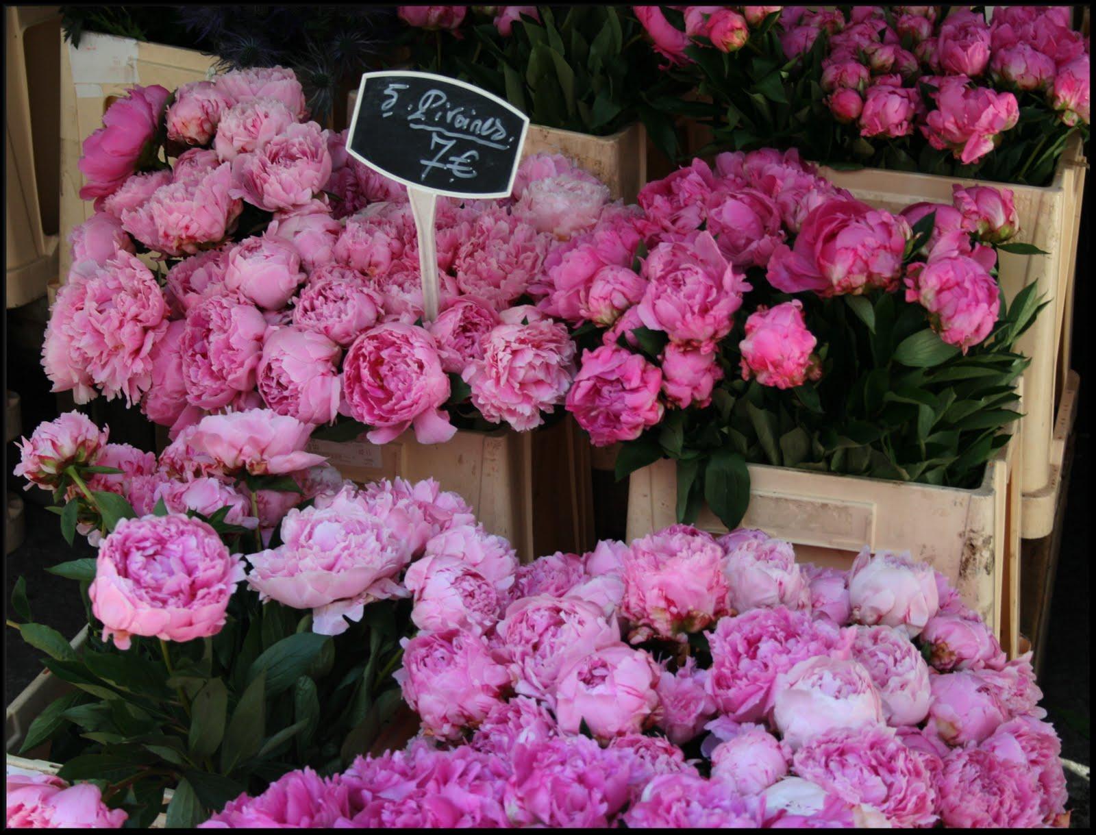 Когда продают пионы. Пионы на Рижском рынке. Пион магазин цветов. Французские пионы. Пионы в цветочном магазине.