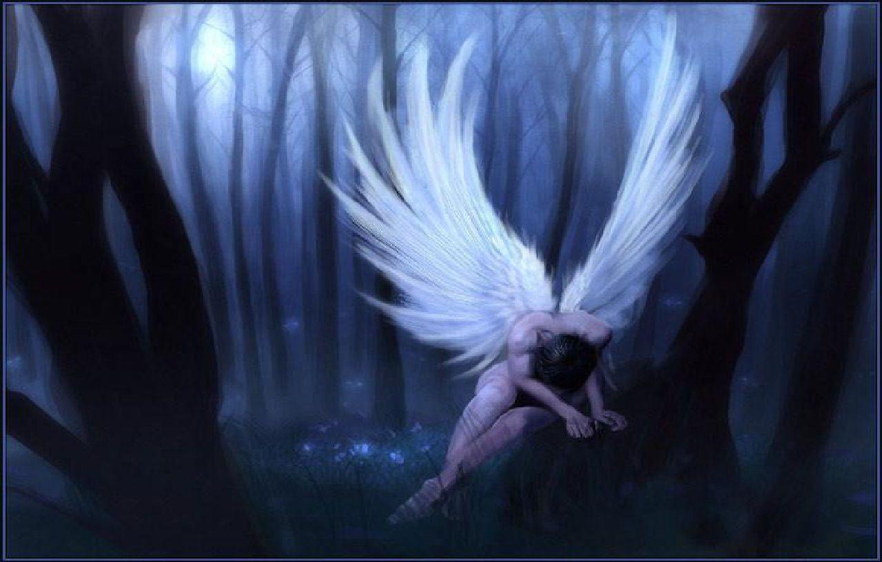 1280x815 Angels And Fairies hình ảnh Angels HD hình nền and background các bức ảnh