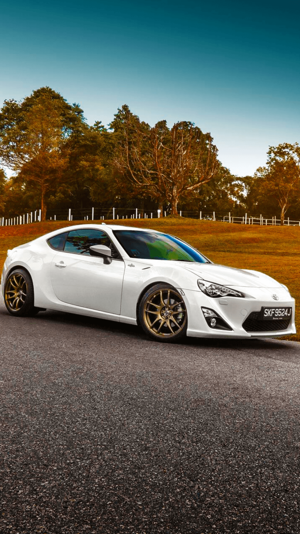 1000x1777 Car Toyota GT86 HD