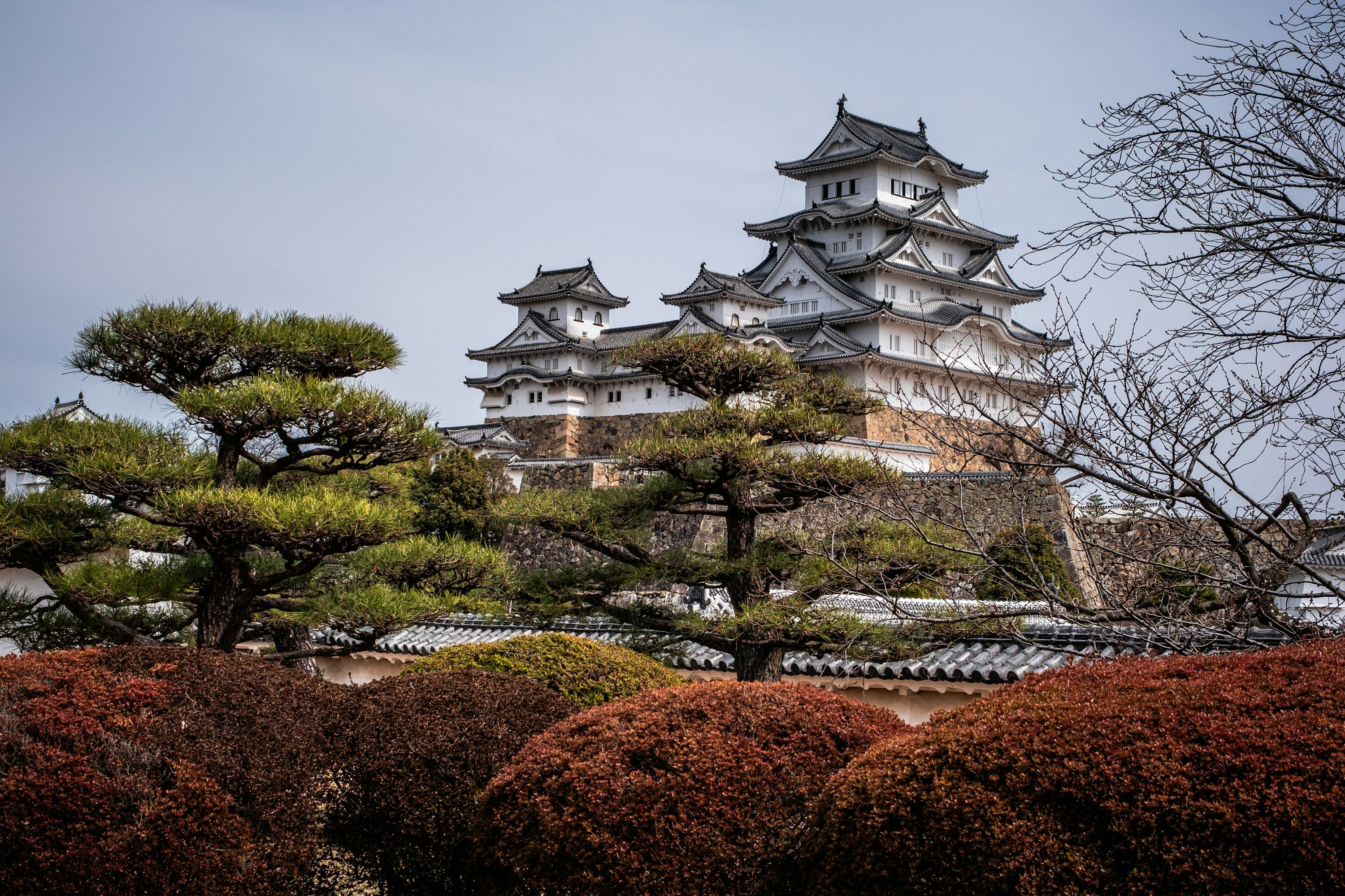 3000x2000 Himeji Castle Picture. Download Free Image