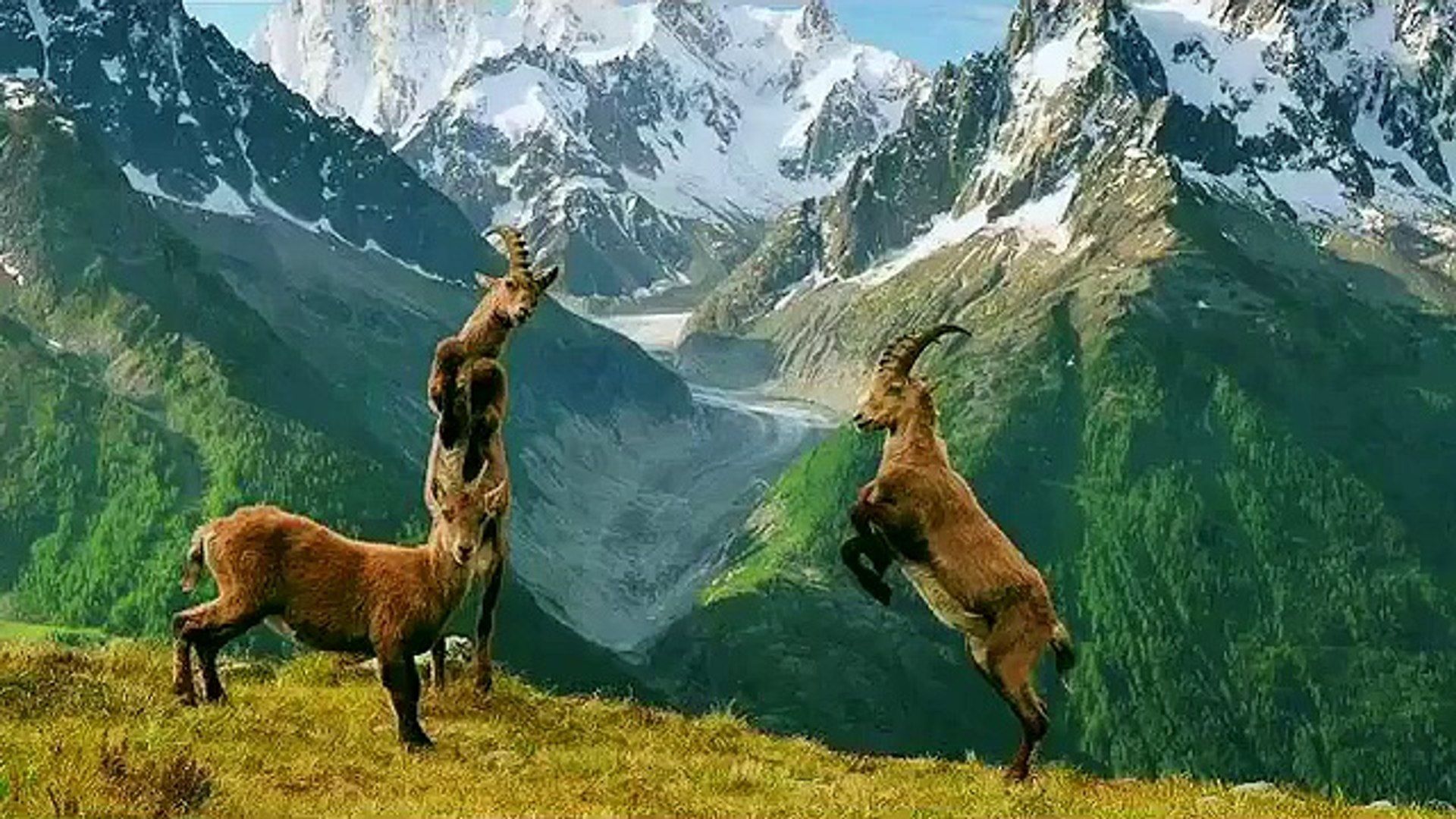 1920x1080 This is Pakistan Baltistan and Chitral Beauty!