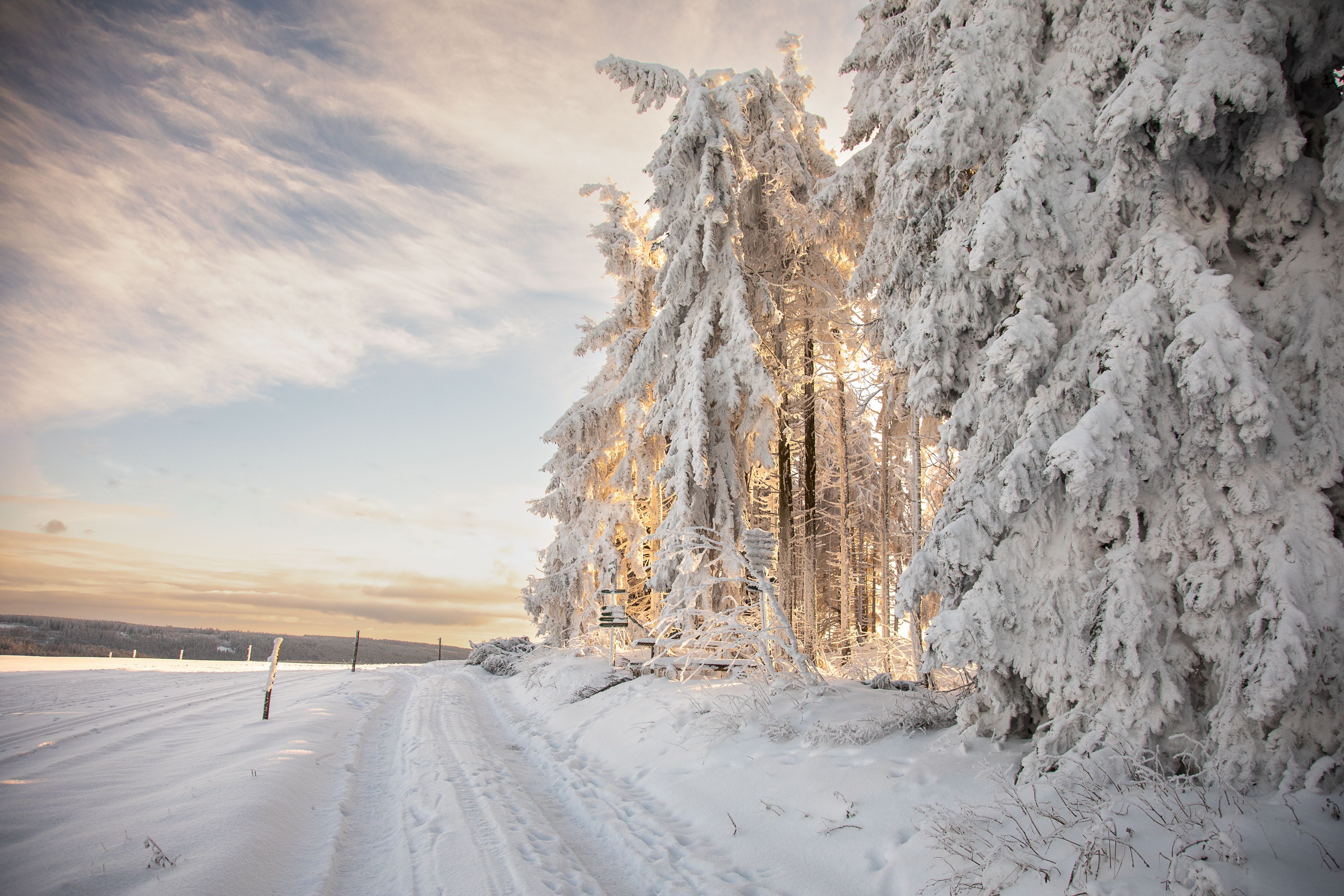 4000x2667 Heavy Snowfall on a Road in Sonneberg, Germany · Free