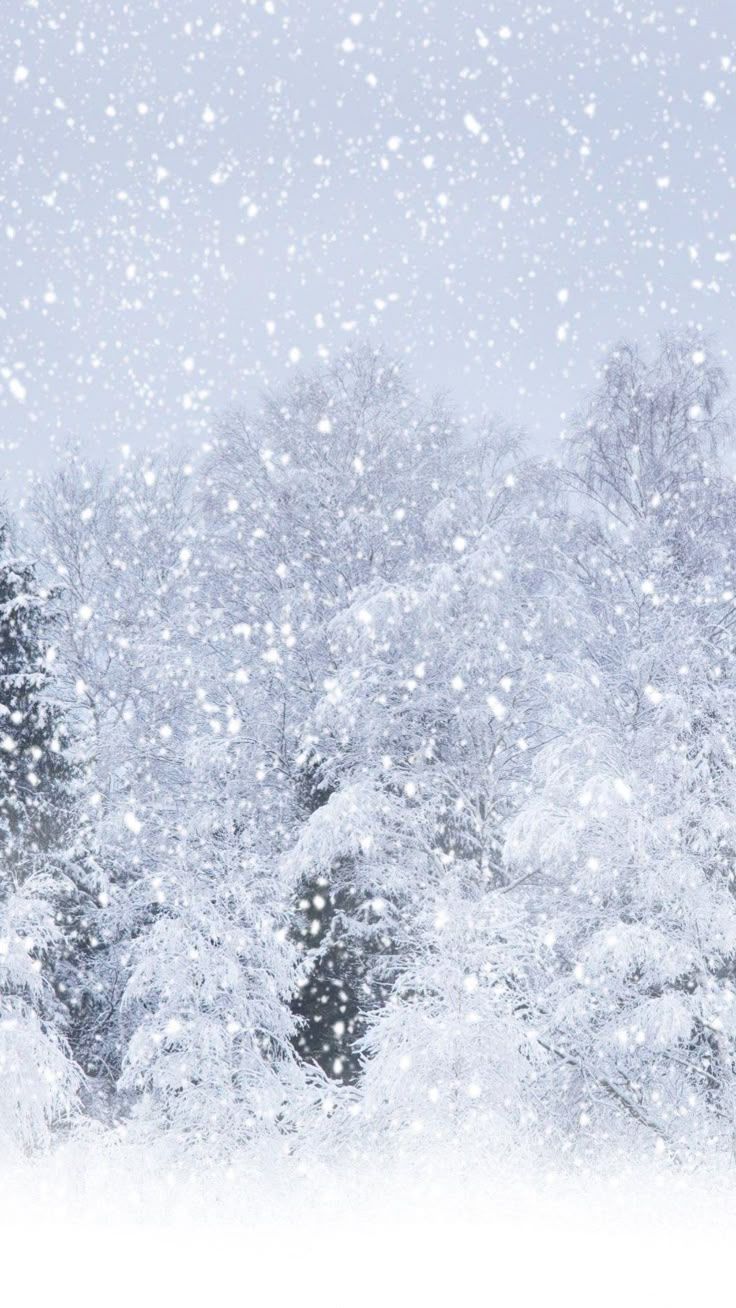 736x1308 Nature Heavy Snow Forest iPhone 8 Wallpaper