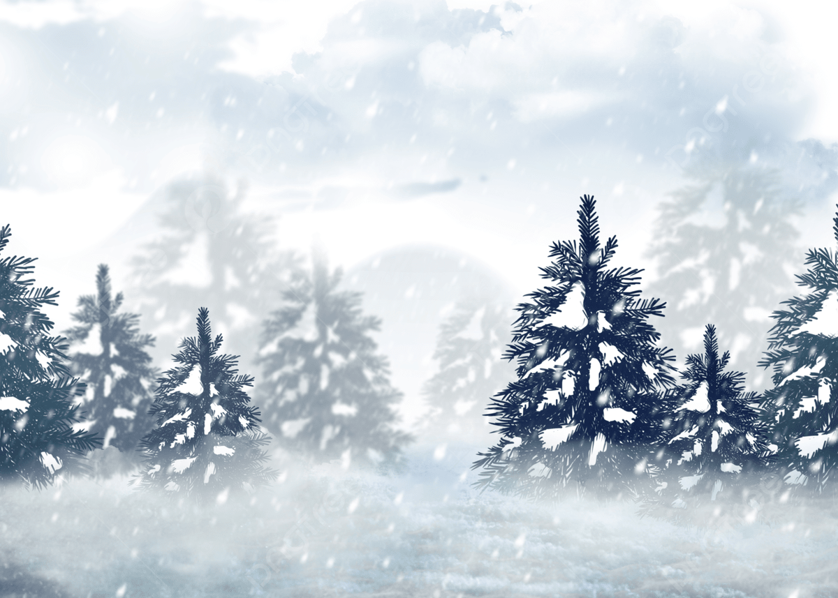 1200x857 Winter Forest Snow Background Heavy Snow Snow Scene, Pc Wallpaper, White, Winter Forest Snow Background Background Image And Wallpaper for Free Download