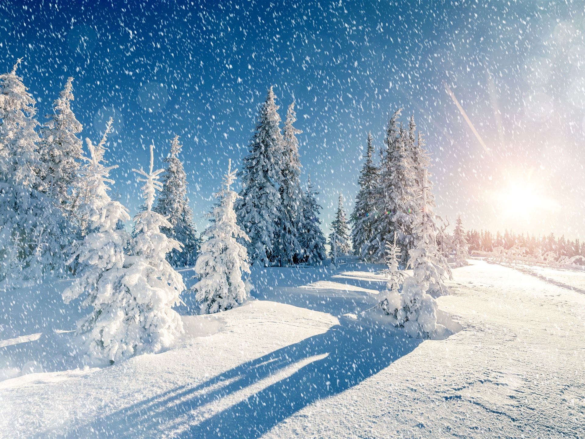 1920x1440 Wallpaper Heavy snow, snowflakes, trees, sun rays, shadow, winter 5120x2880 UHD 5K Picture, Image