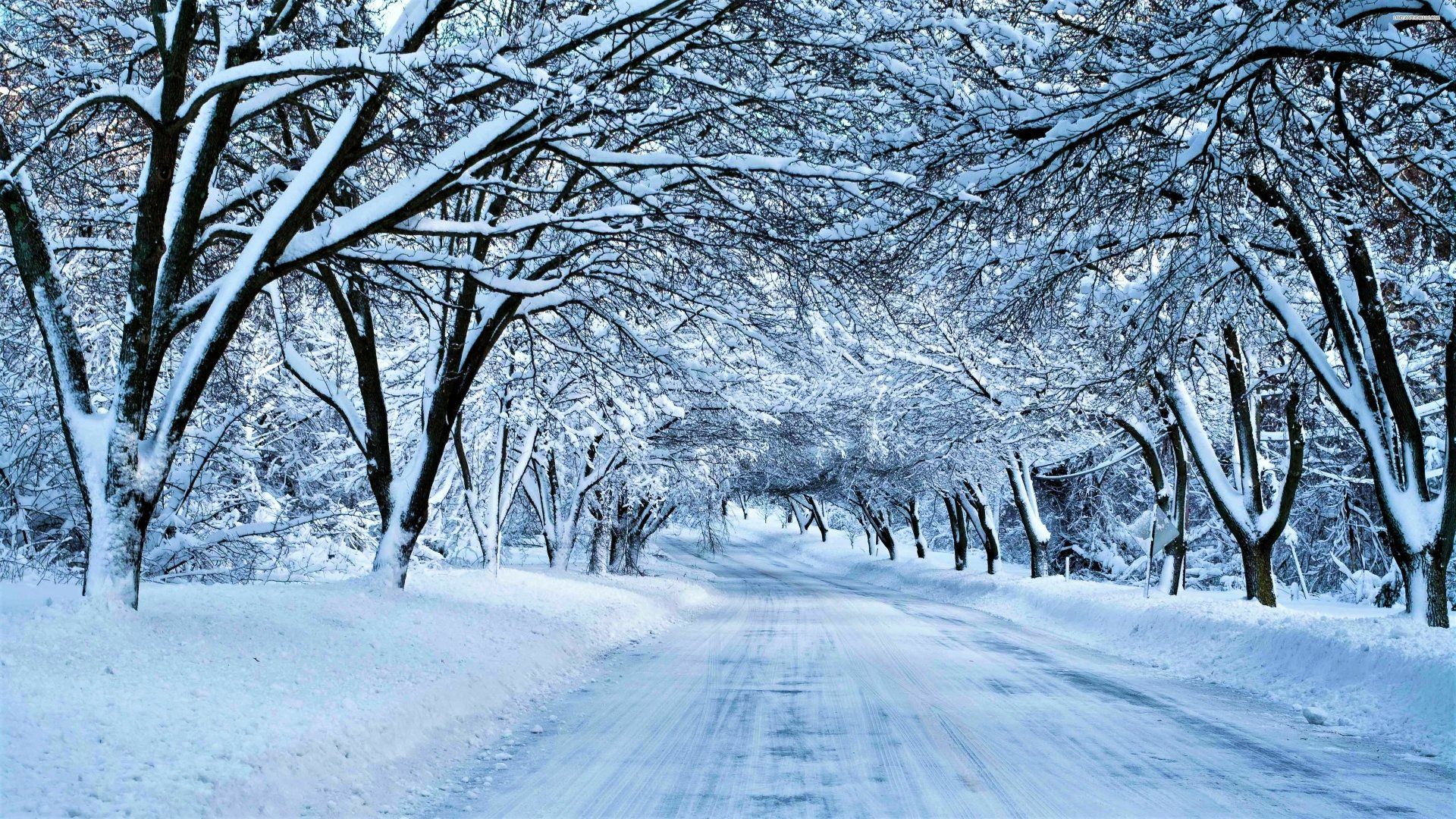 1920x1080 Winter Wonderland Canopy Road Ultra HD Wallpaperx2160