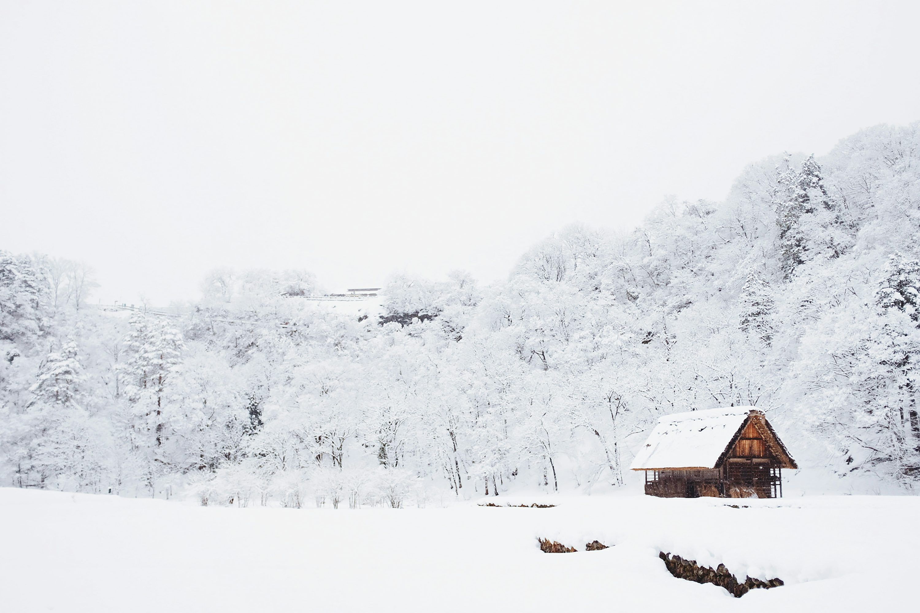 3000x2000 Snow Wallpaper: Free HD Download [4K]