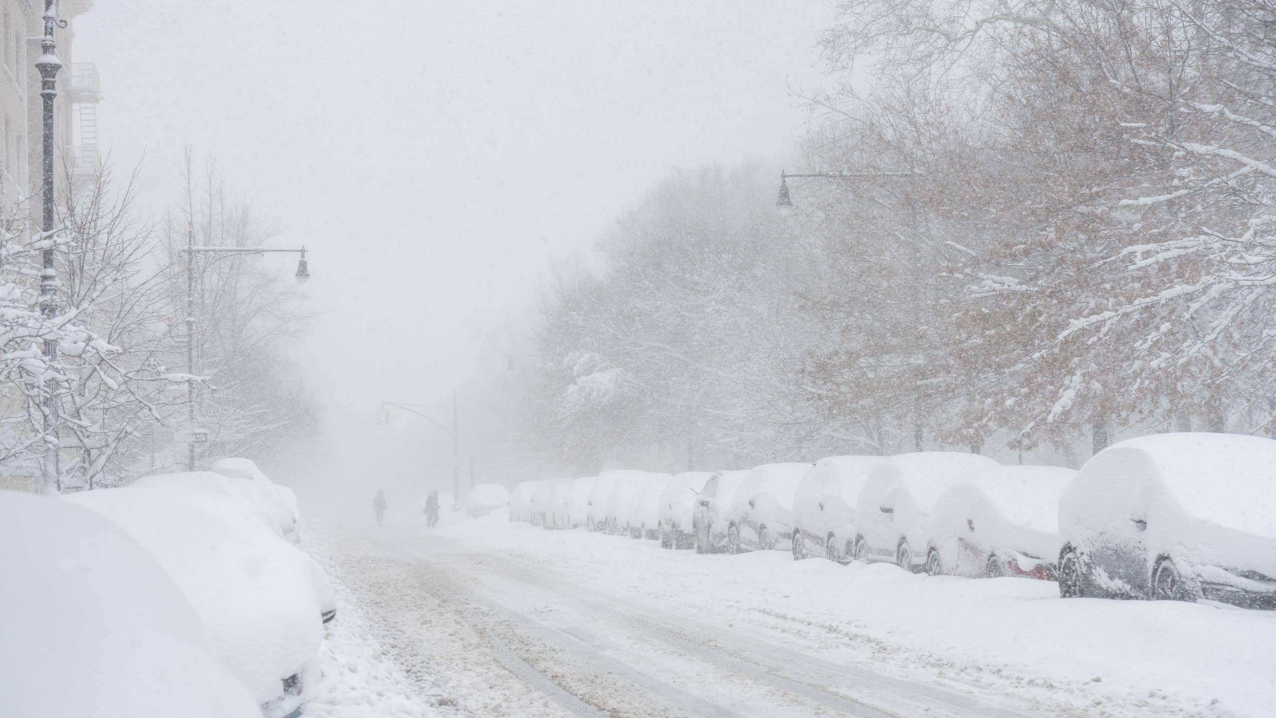 2560x1440 Heavy Snow Warning Announced as 5 Feet Approaches: 'Delay All Travel''s Journal