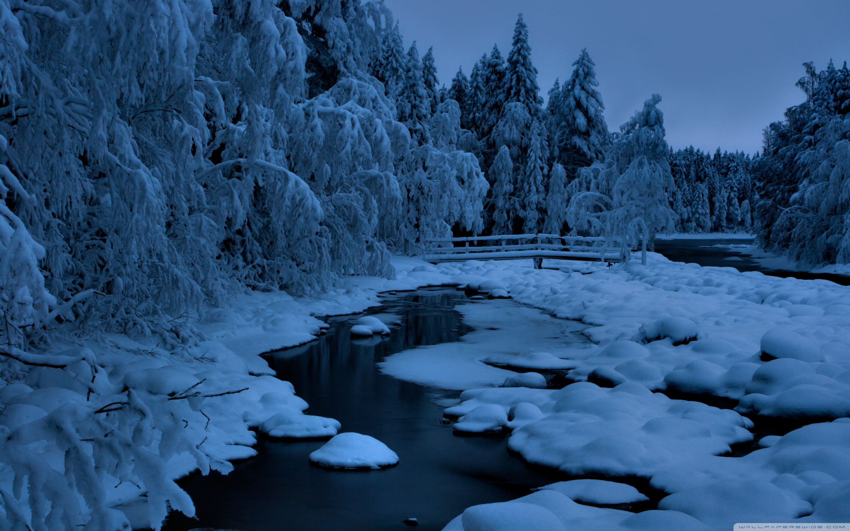 2880x1800 Heavy Snow 4K UHD Wallpaper for UltraHD Desktop and TV : Dual Monitor : Smartphone and Tablet Devices