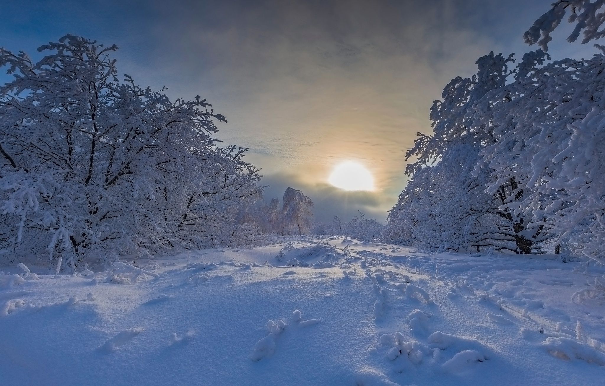 2048x1307 Wallpaper winter, snow, trees, sunset, the snow, Russia, Maxim Podosinnikov for mobile and desktop, section пейзажи, resolution 2048x1307