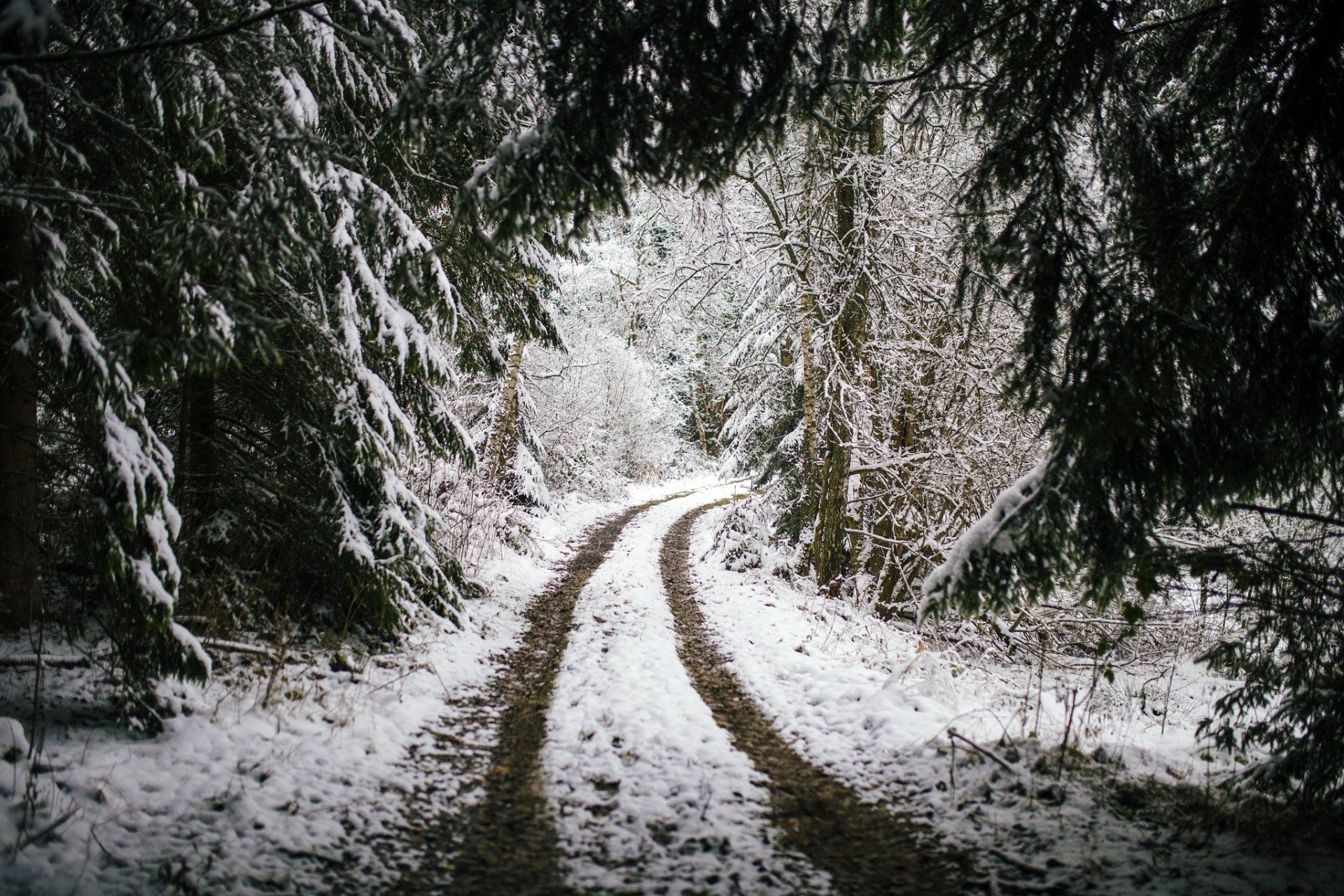 1920x1280 Download Snow Dirt Road Forest Winter Nature Path HD Wallpaperx1365