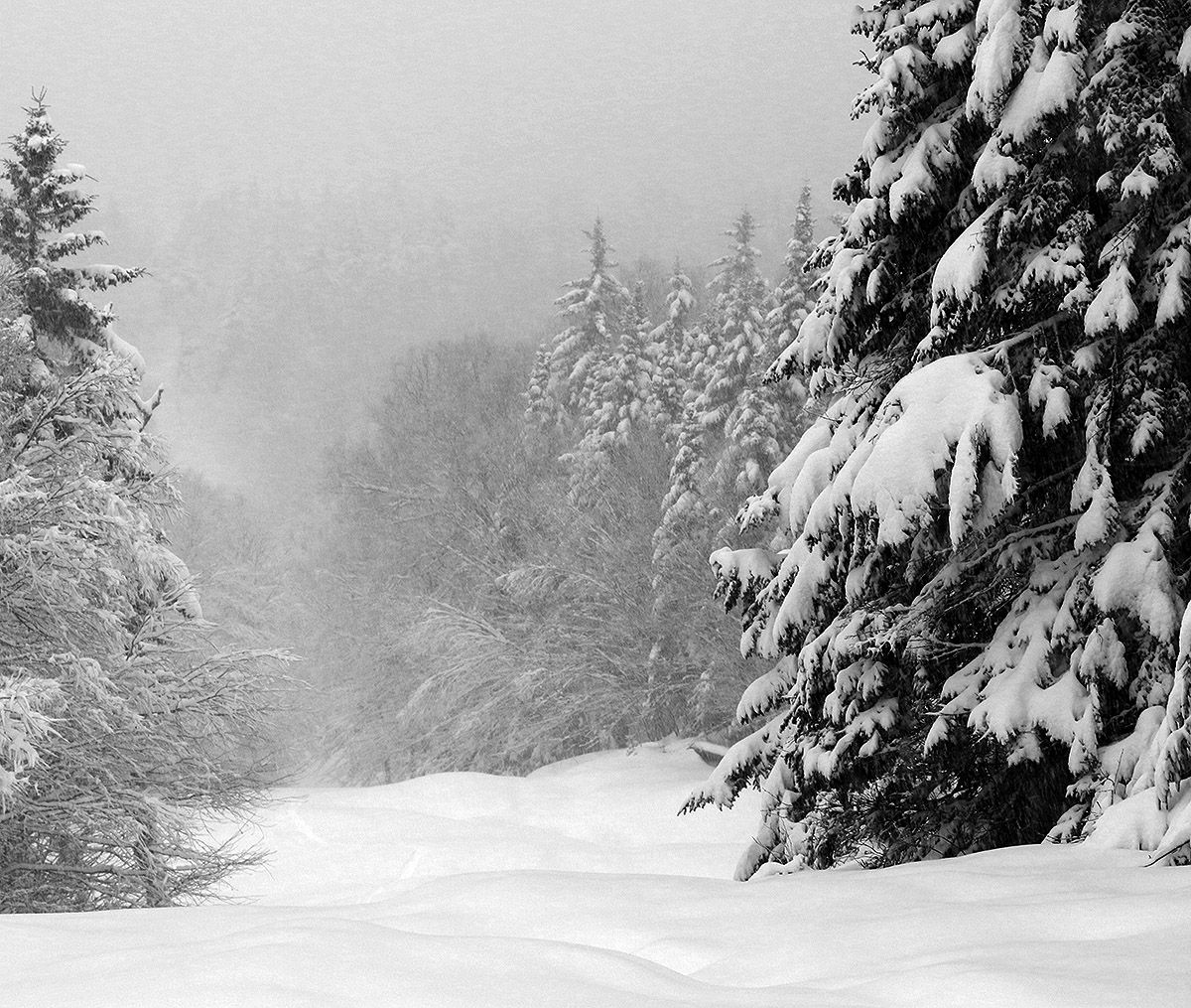 1200x1015 Bolton Valley, VT 11DEC2023&E Productions