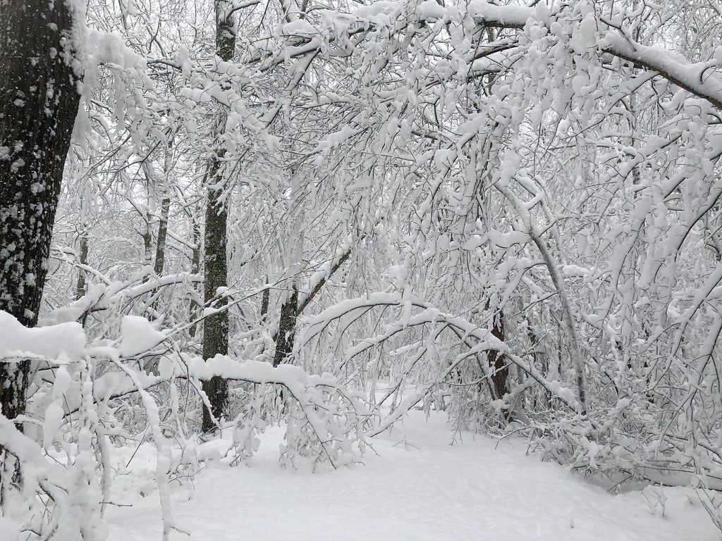 1024x768 Heavy Snow. Heavy snow in North Stonington