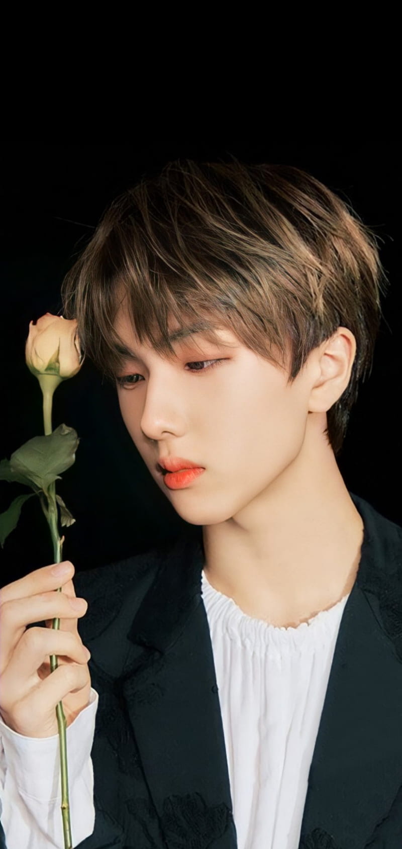 800x1689 Jisung, handsome, nct dream, kpop, cool, black, dark, cute, nct, HD phone wallpaper