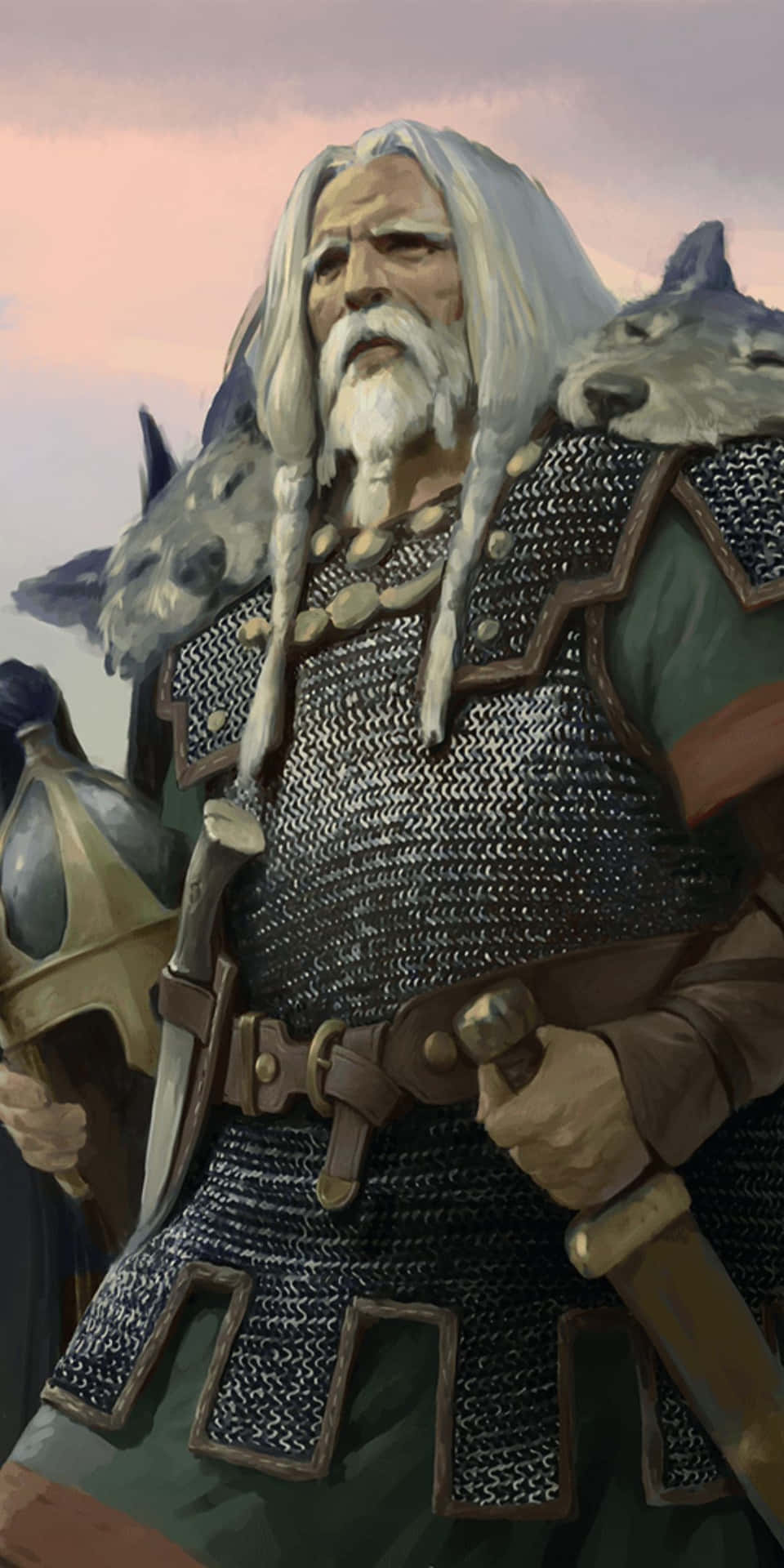 960x1920 Old Warrior Wallpaper
