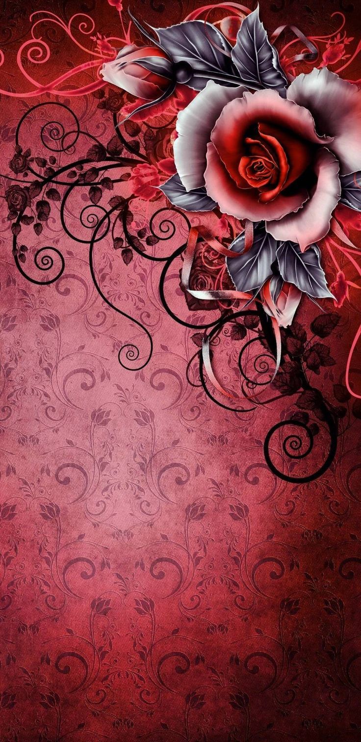 736x1512 Lovely Flowers Wallpaper and Black Floral Background. Sfondi per cellulare, Sfondi iphone, Sfondi carini