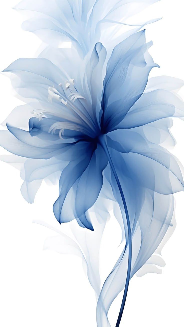 736x1308 Blue and white wallpaper. Blue flower wallpaper, Blue wallpaper iphone, Flower background wallpaper