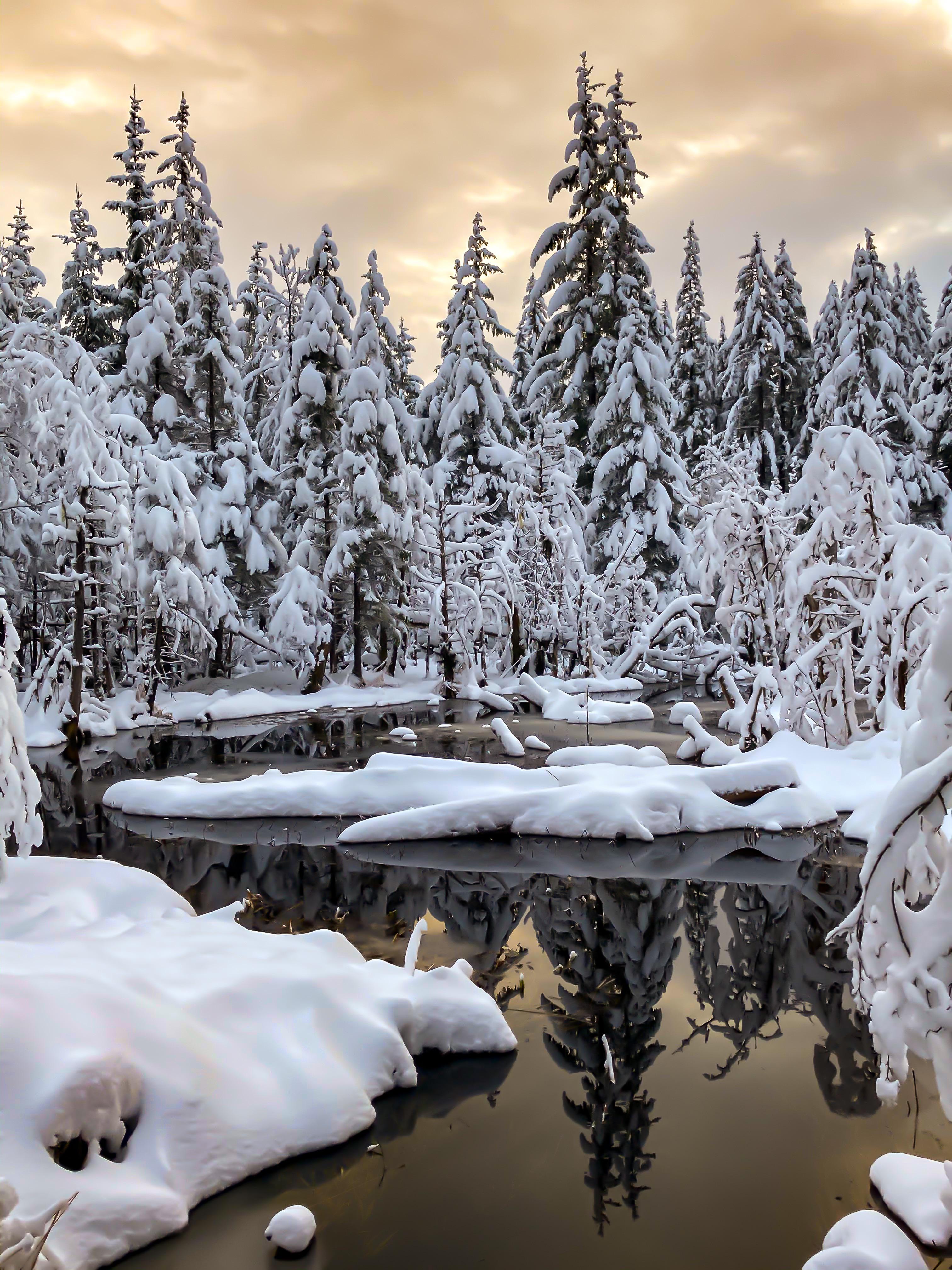 3024x4032 Not only the United State's largest National Forest but also the world's largest temperate rainforest; Southeast Alaska [OC](3024 X 4032)
