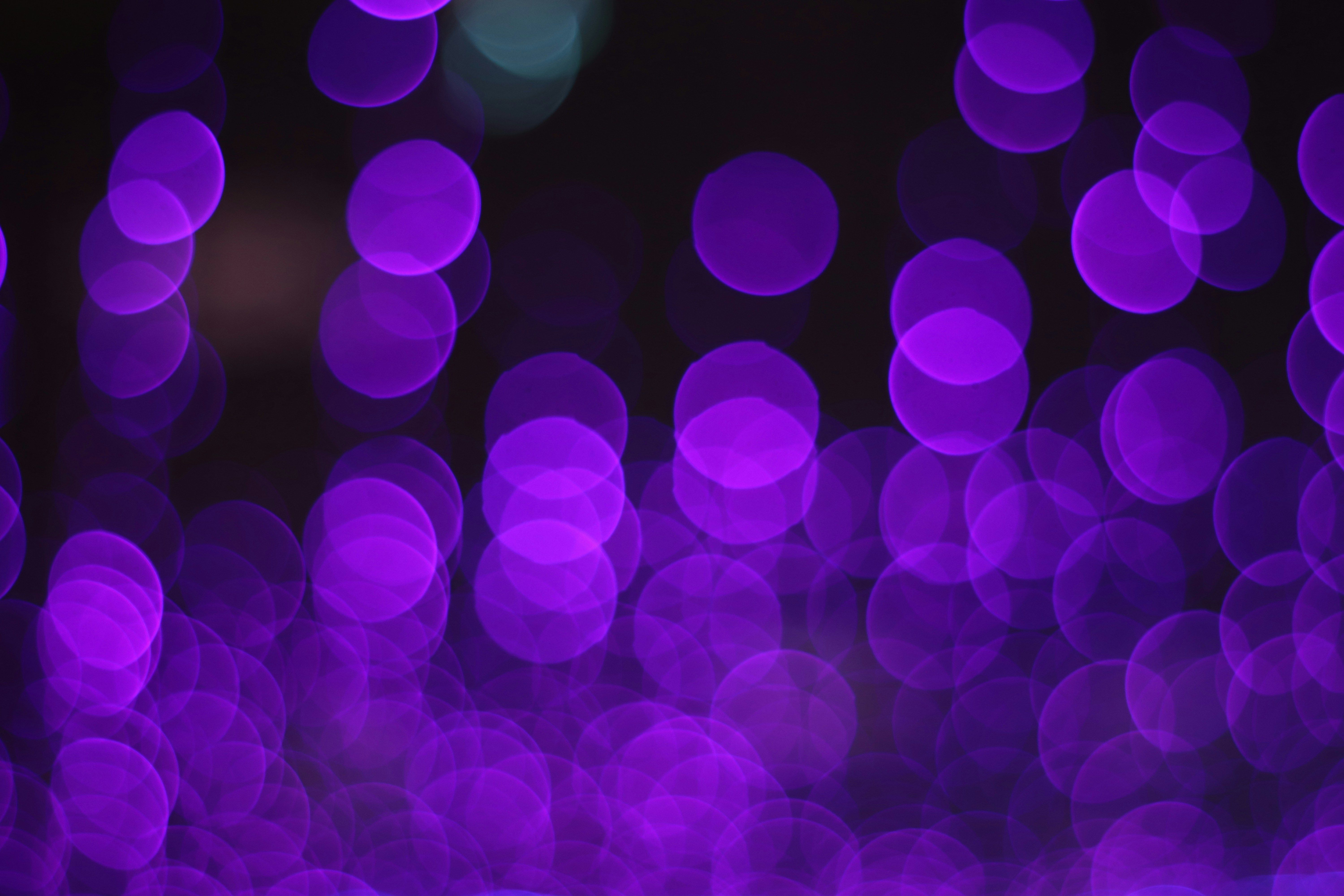 6000x4000 White and purple bokeh lights photo