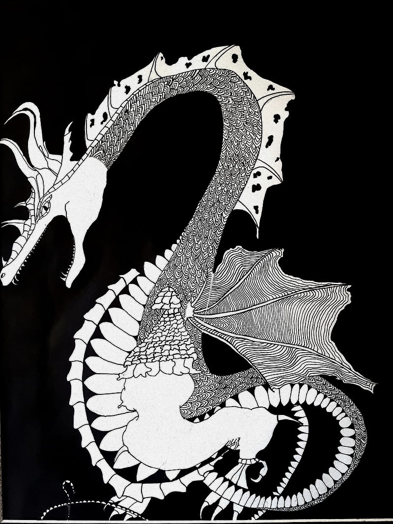 800x1067 Pen and Ink Dragon, dragon, drawing, HD phone wallpaper