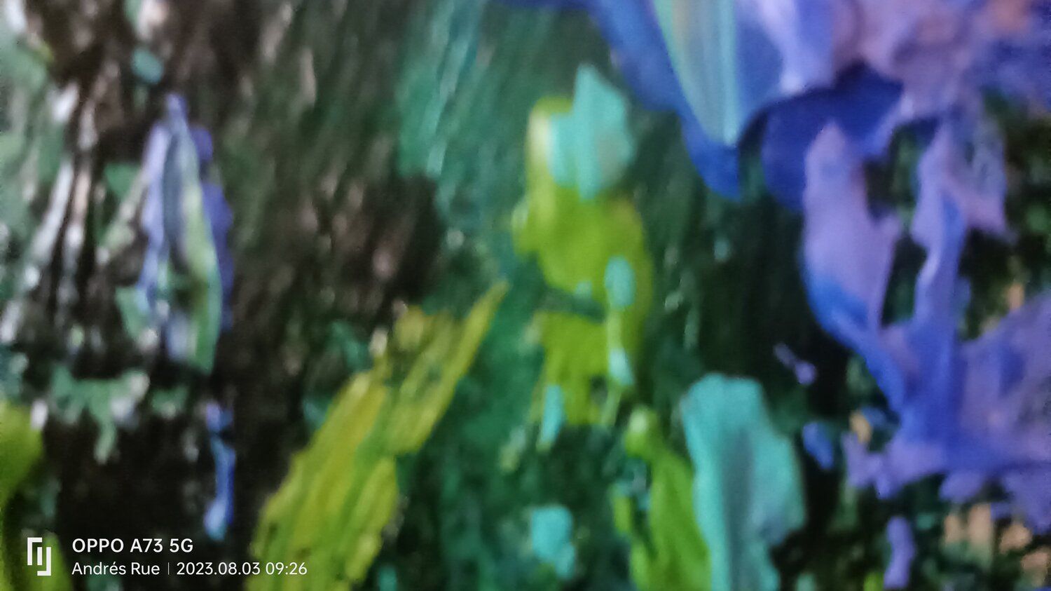 1500x843 FROM BLUE TO DAWN