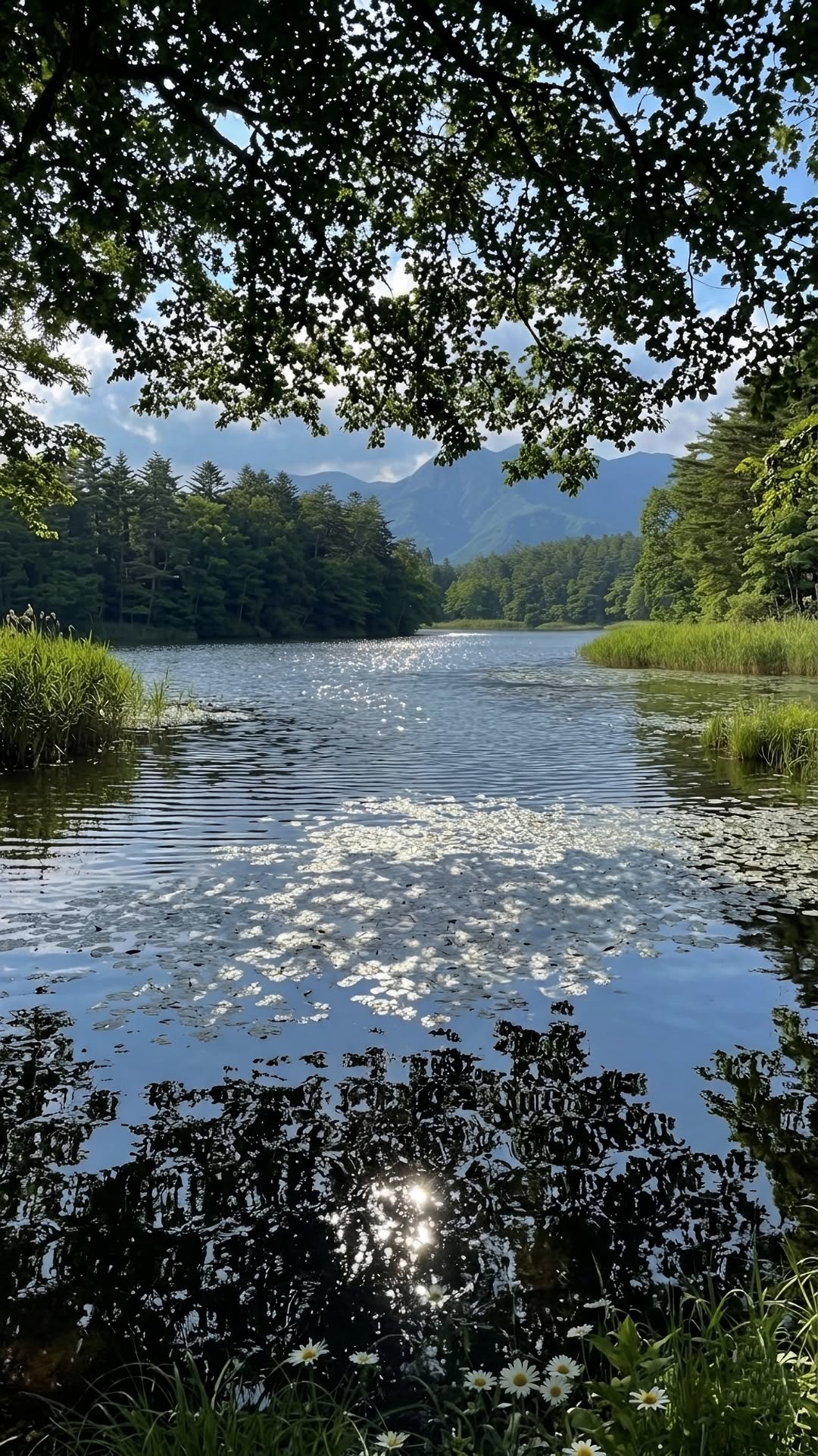 1080x1920 Battery Lenovo P52s Lenovo Thinkpad I7 8th Generation Price Nice Views Beautiful Places, Lake Wallpaper, Nature