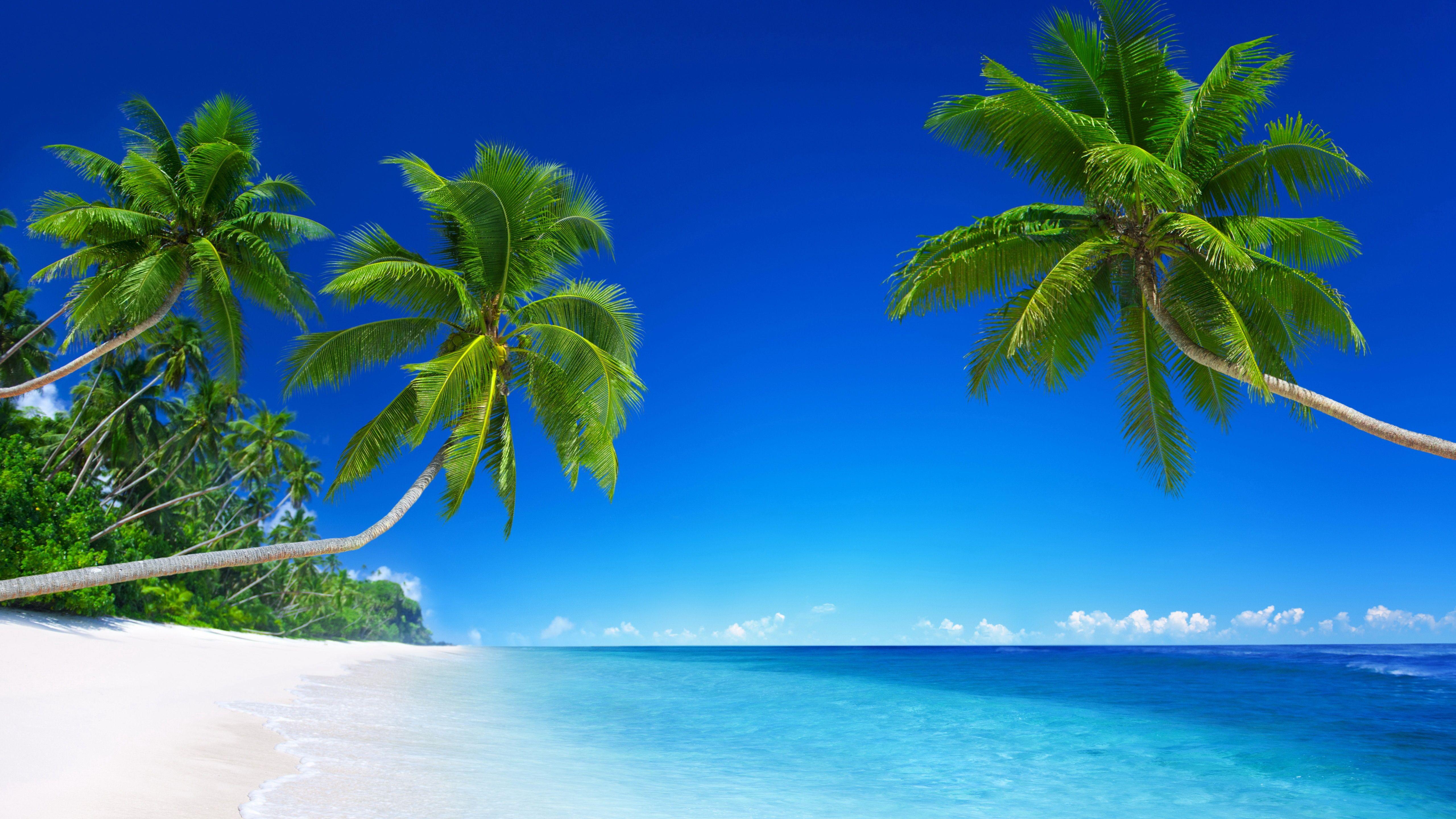 5120x2880 ورق جدران Tropical Beach Paradise 5K بتنسيق jpg للتنزيل المجاني