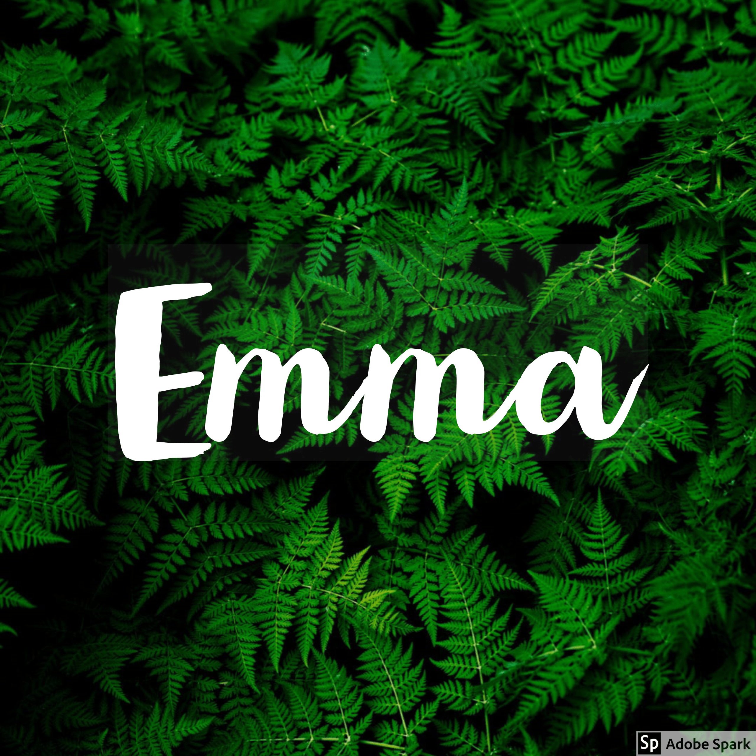 2560x2560 Discover 9 Name Wallpaper and name wallpaper ideas. names, wallpaper, names with meaning and more