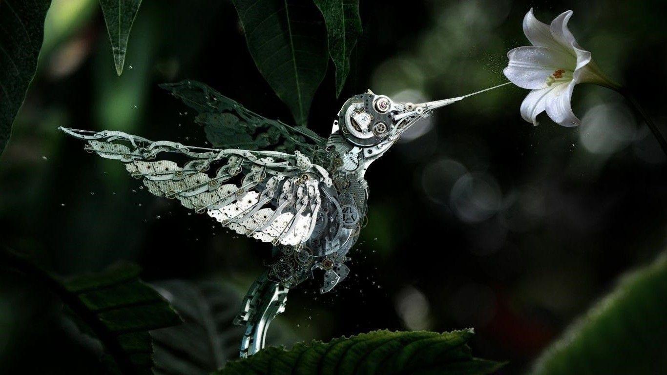 1366x768 Steampunk, Amazing, flowers, Widescreen, High Resolution, Hummingbird, HD Image, Vector, blue