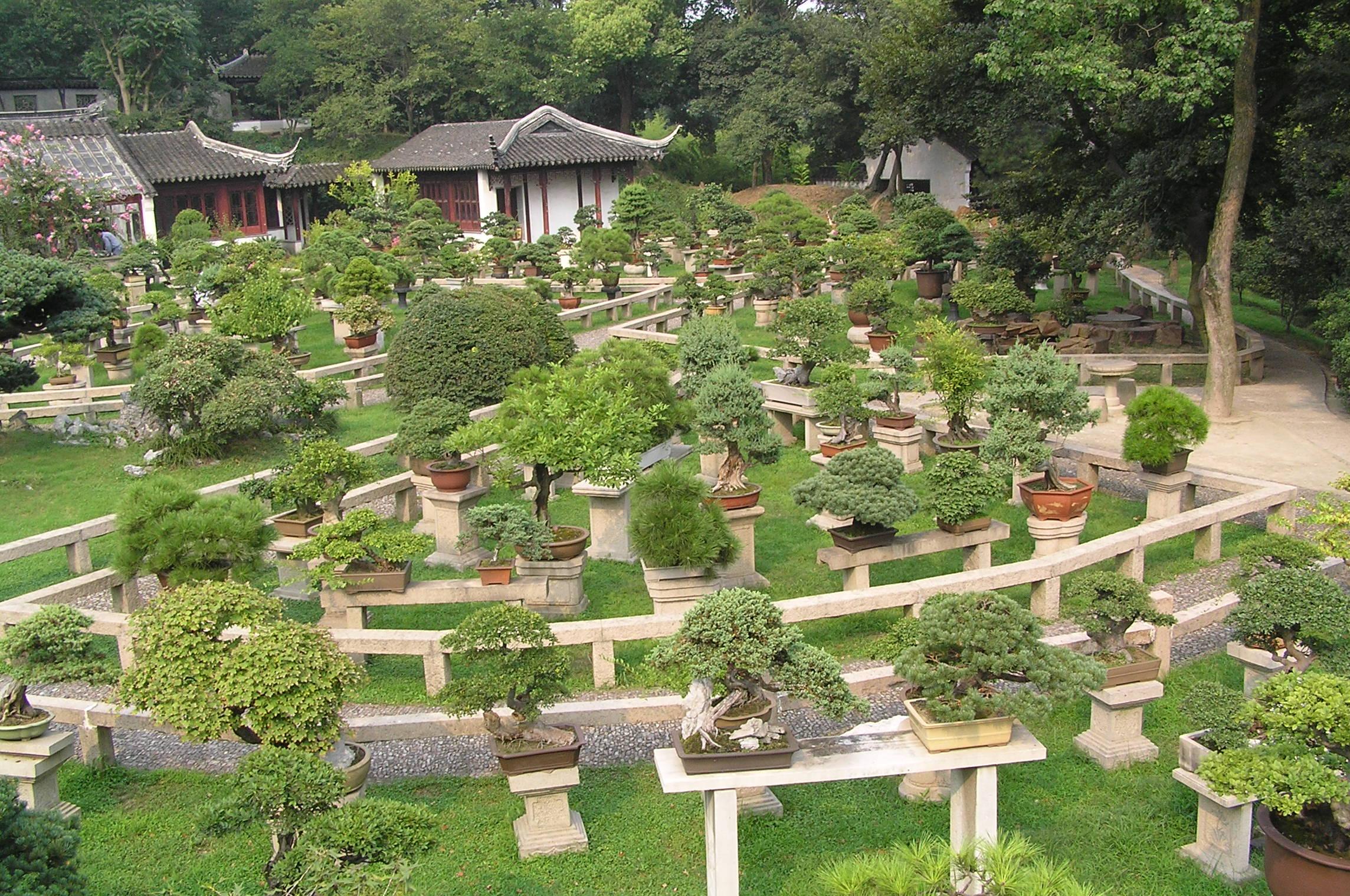 2288x1520 Bonsai forest at the gardens of pagoda Yunyan