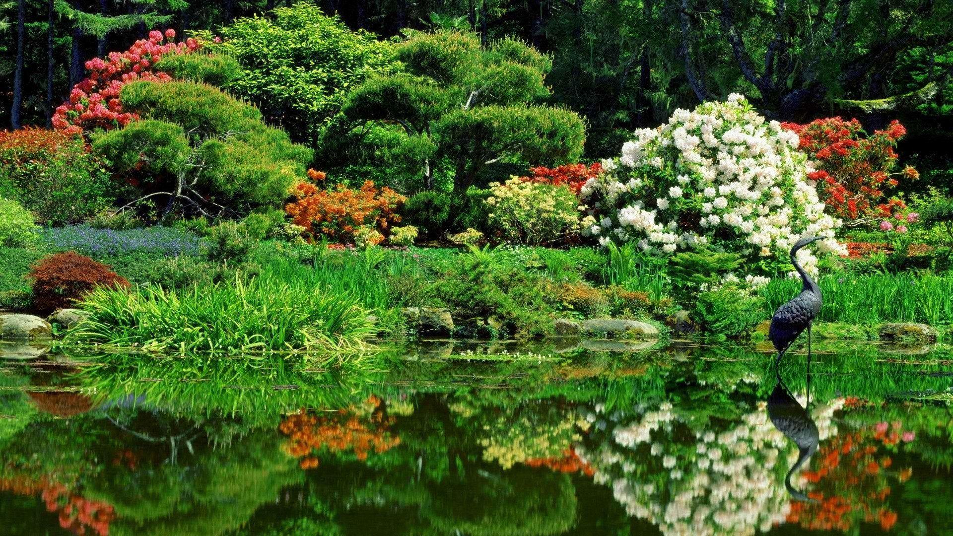 1920x1080 shore, parks, cool image, samsung, oriental, oregon, wallpaper