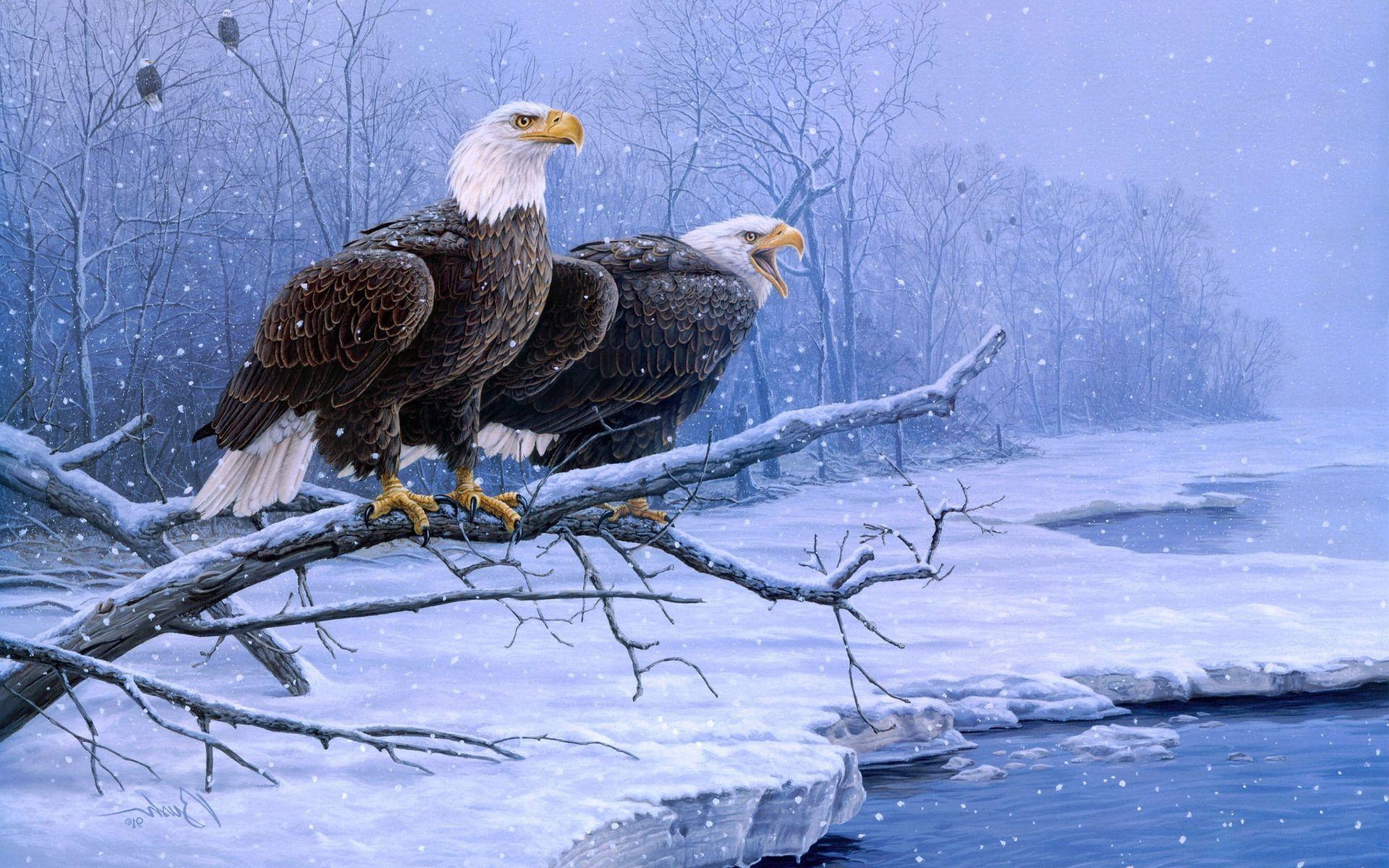 1920x1200 Snow Eagle Wallpaper. Fourth of July Eagle Wallpaper, Eagle Wallpaper and Beagle Puppy Wallpaper