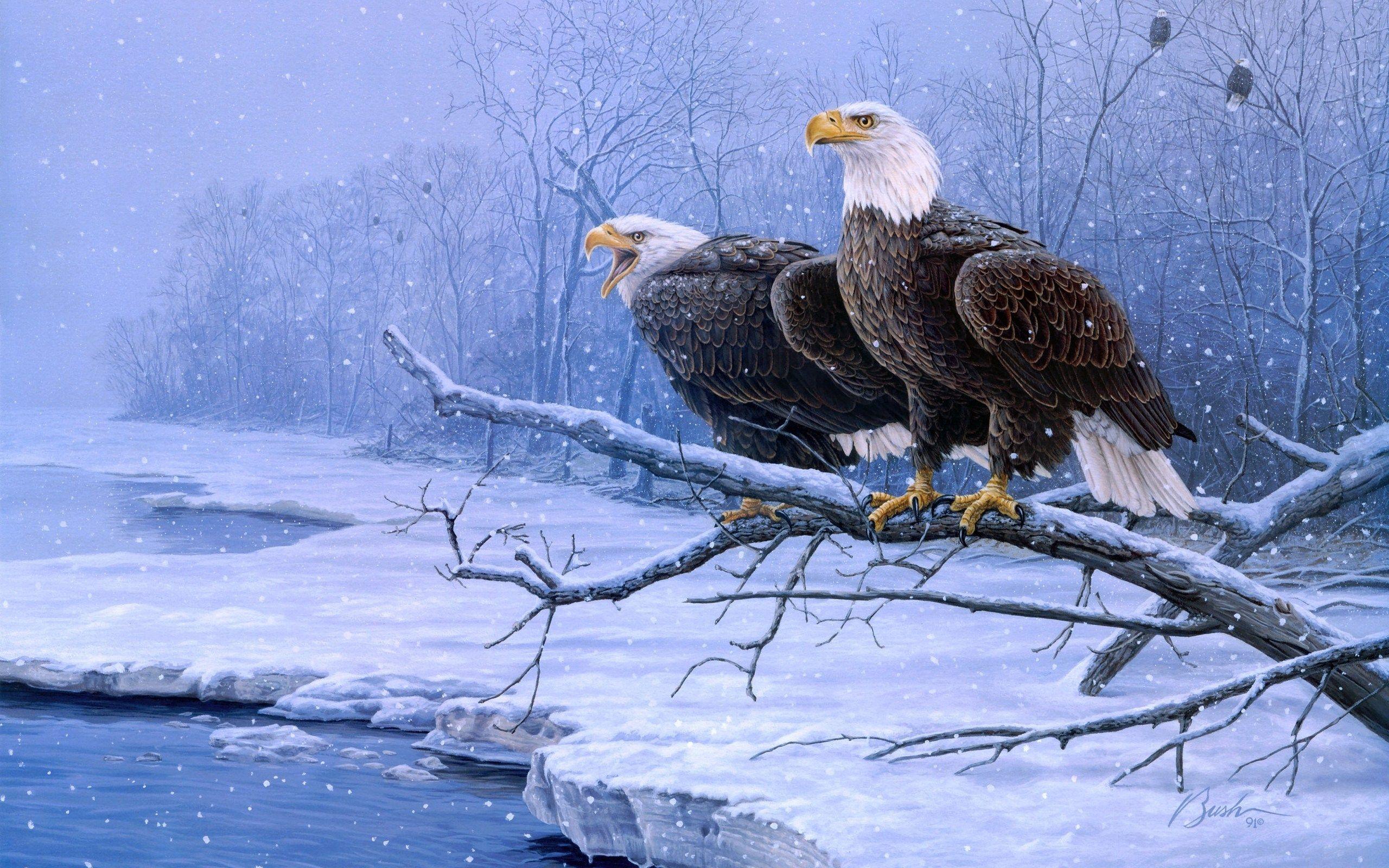 2560x1600 Snow Eagle Wallpaper. Fourth of July Eagle Wallpaper, Eagle Wallpaper and Beagle Puppy Wallpaper