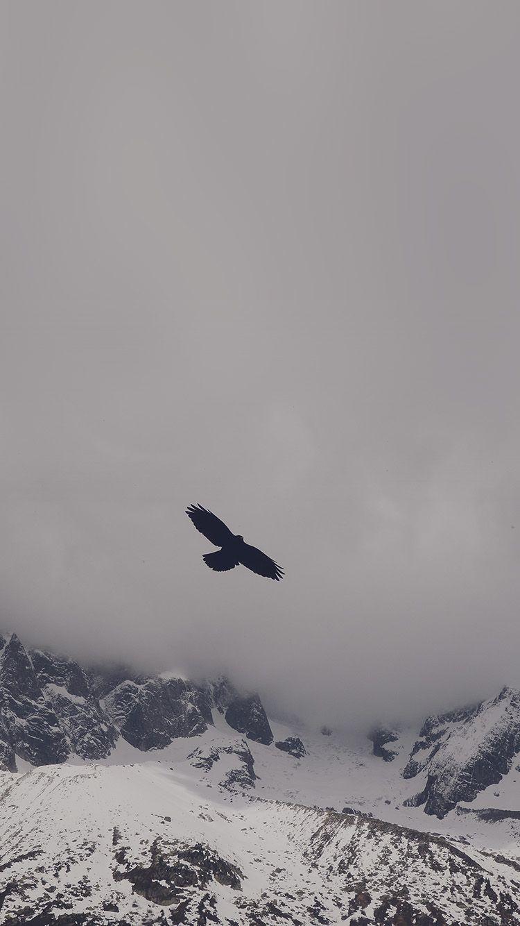 750x1334 iPhone 6 Wallpaper revitt eagle blue mountain winter snow nature animal