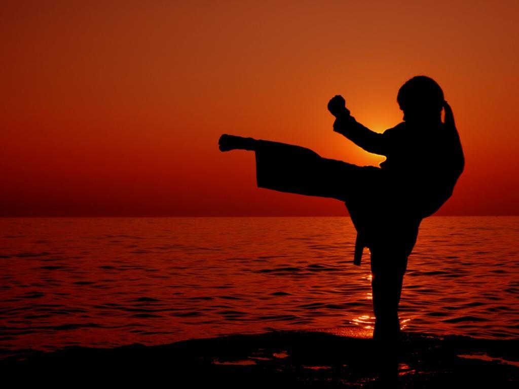 1024x768 Karate Wallpaper Group (71)