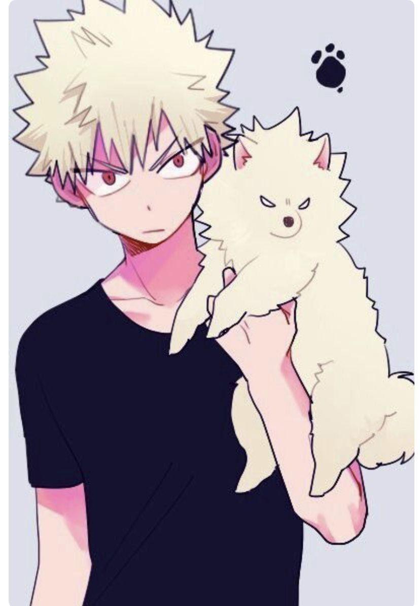 Bakugo Wallpaper Pc Cute