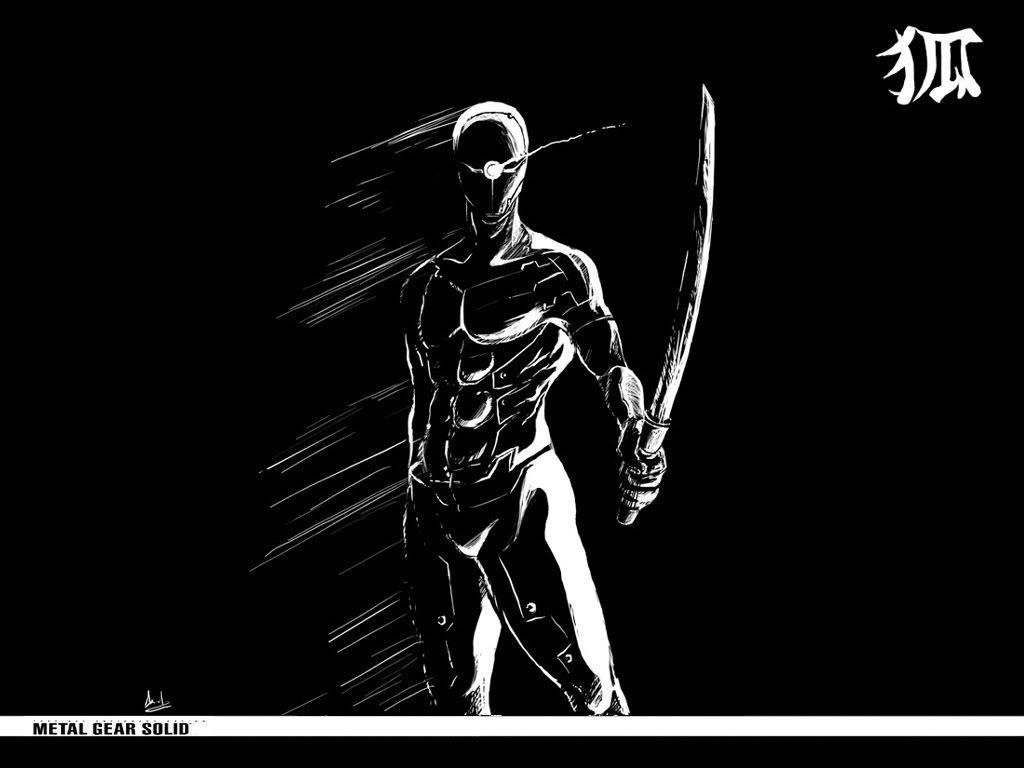 1024x768 Grayfox Wallpaper. Grayfox Wallpaper