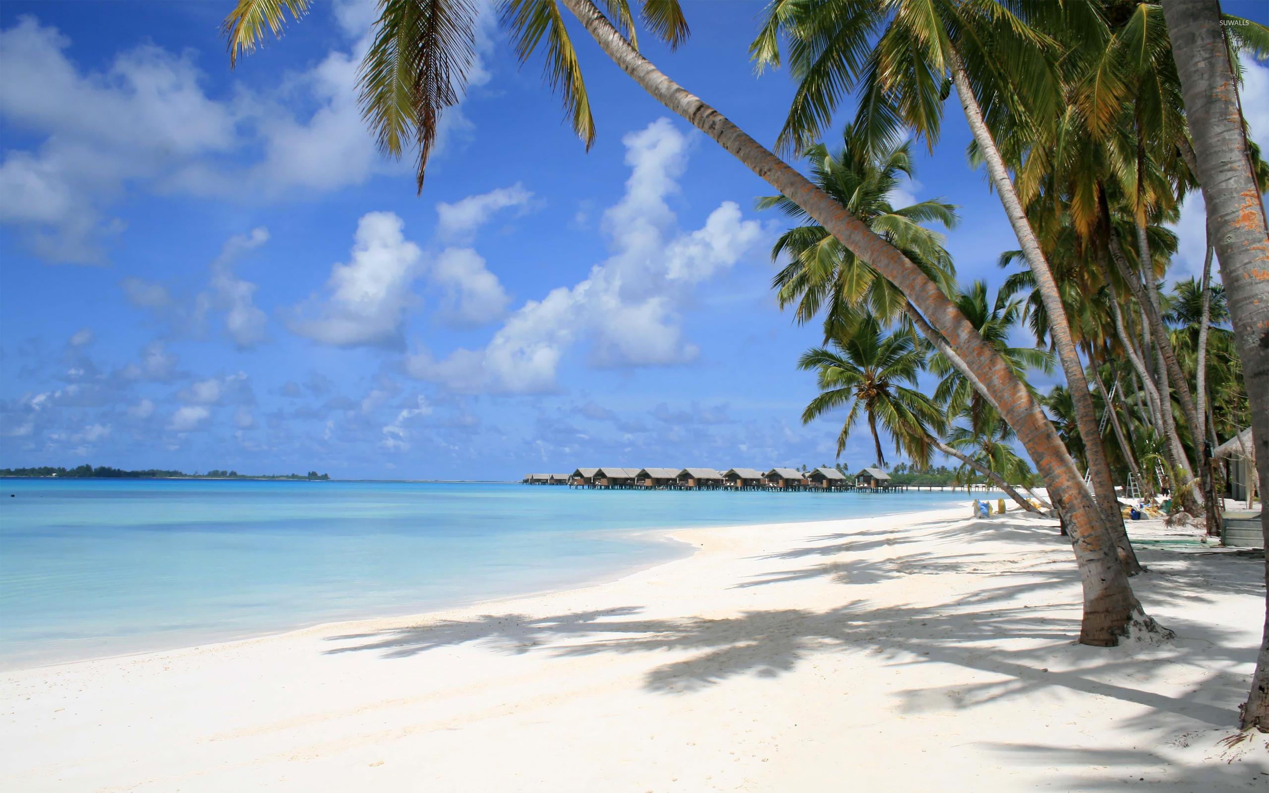 2560x1600 Maldives Beach Wallpaper 2560x
