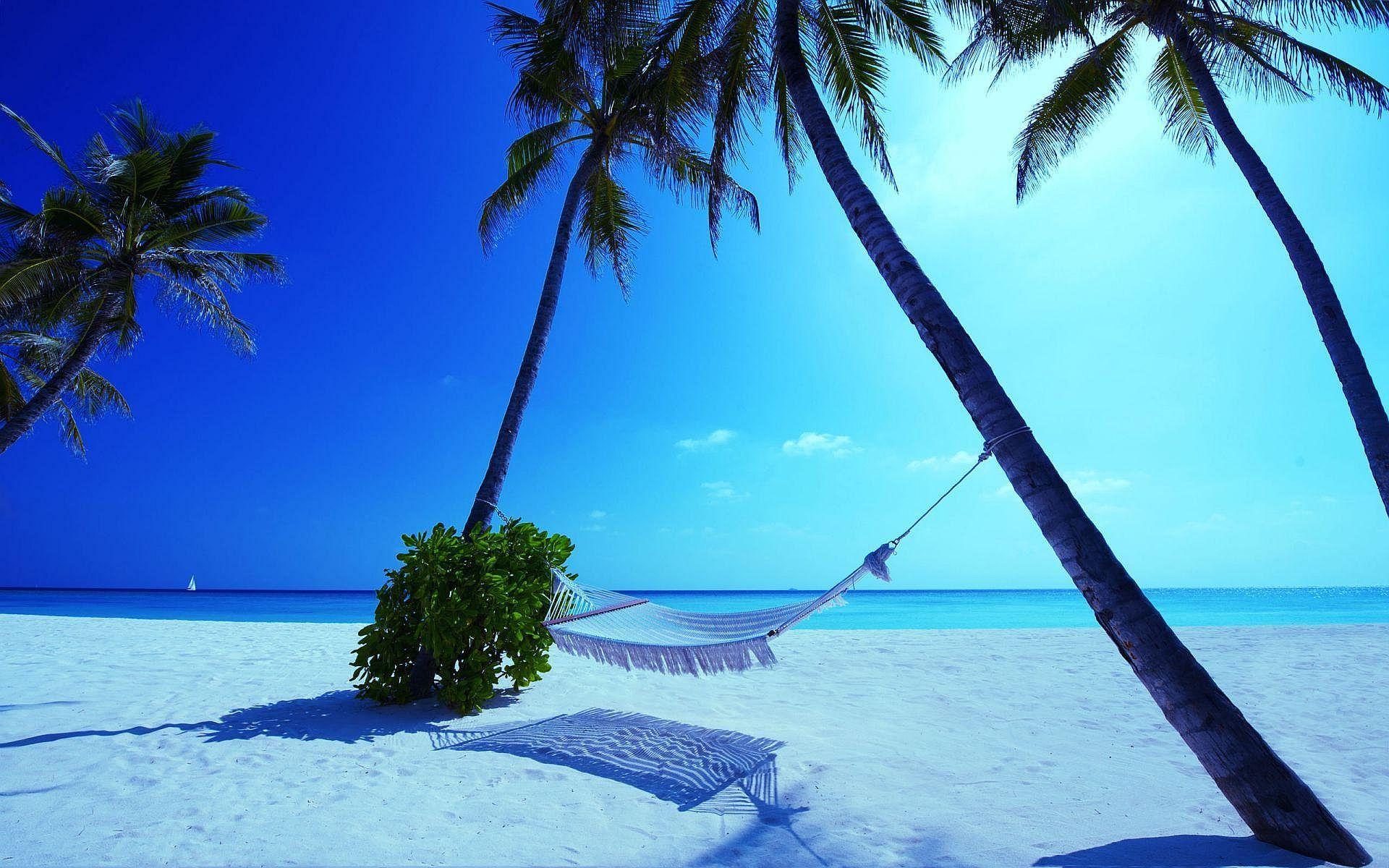 1920x1200 Hammock Maldives Beach wallpaperx1200